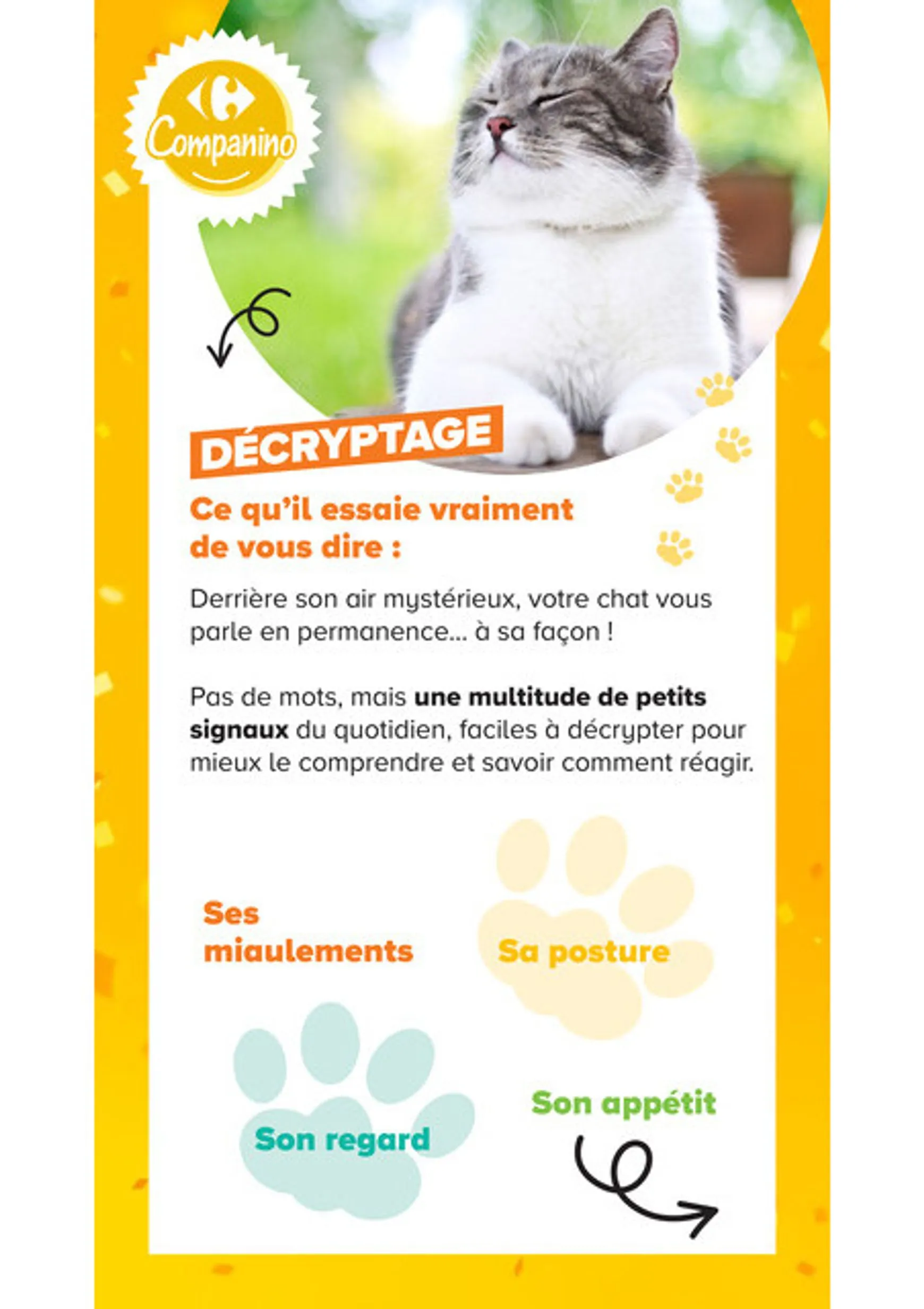 Current Carrefour Market - Découvrez la Marque Carrefour Companino leaflet valid from du mardi 04/08/2026 to du lundi 07/09/2026 du 4 août au 7 septembre 2026 - Catalogue page 12