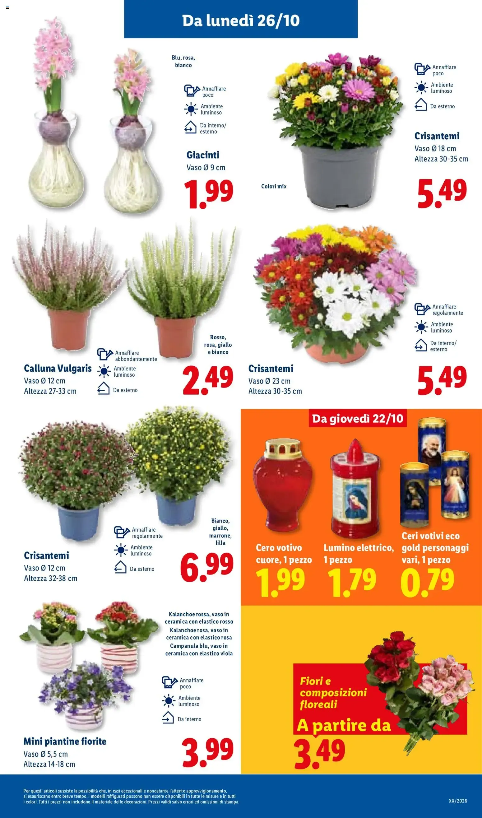 Lidl: Piccoli Prezzi, Grande Qualità da 22 ottobre a 28 ottobre di 2026 - Pagina del volantino 35