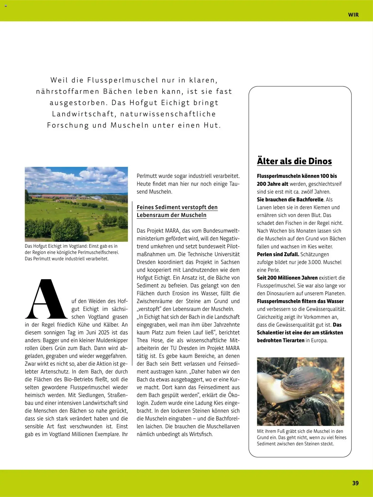 Das BioMarkt Magazin KREO von 17. Juli bis 30. September 2026 - Prospekt seite 38