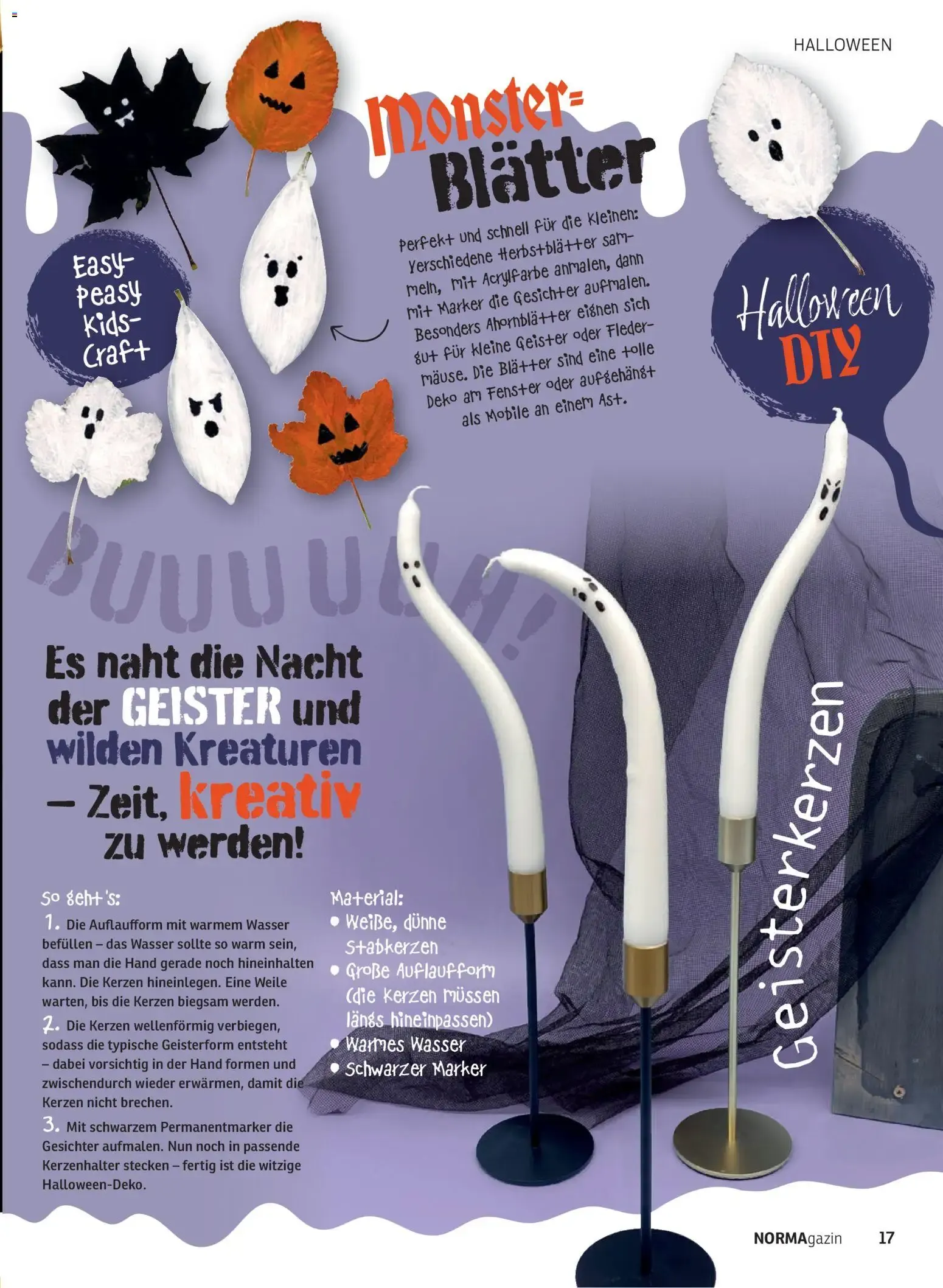 Norma NORMAgazin September/Oktober 2026 (ab 01.09.2026) zum blättern » Angebote von 1. September bis 31. Oktober 2026 - Prospekt seite 17