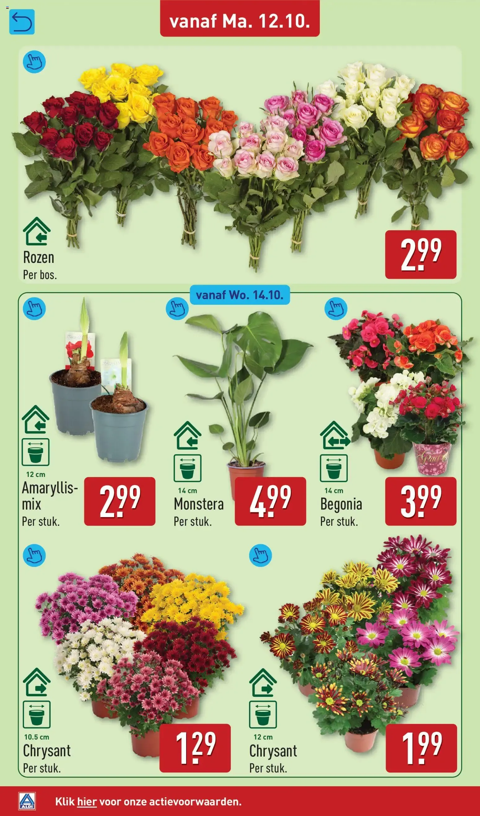 Aldi folder vanaf 12-10-2026 (volgende, deze week) van 12 oktober tot 18 oktober 2026 - Folder pagina 36