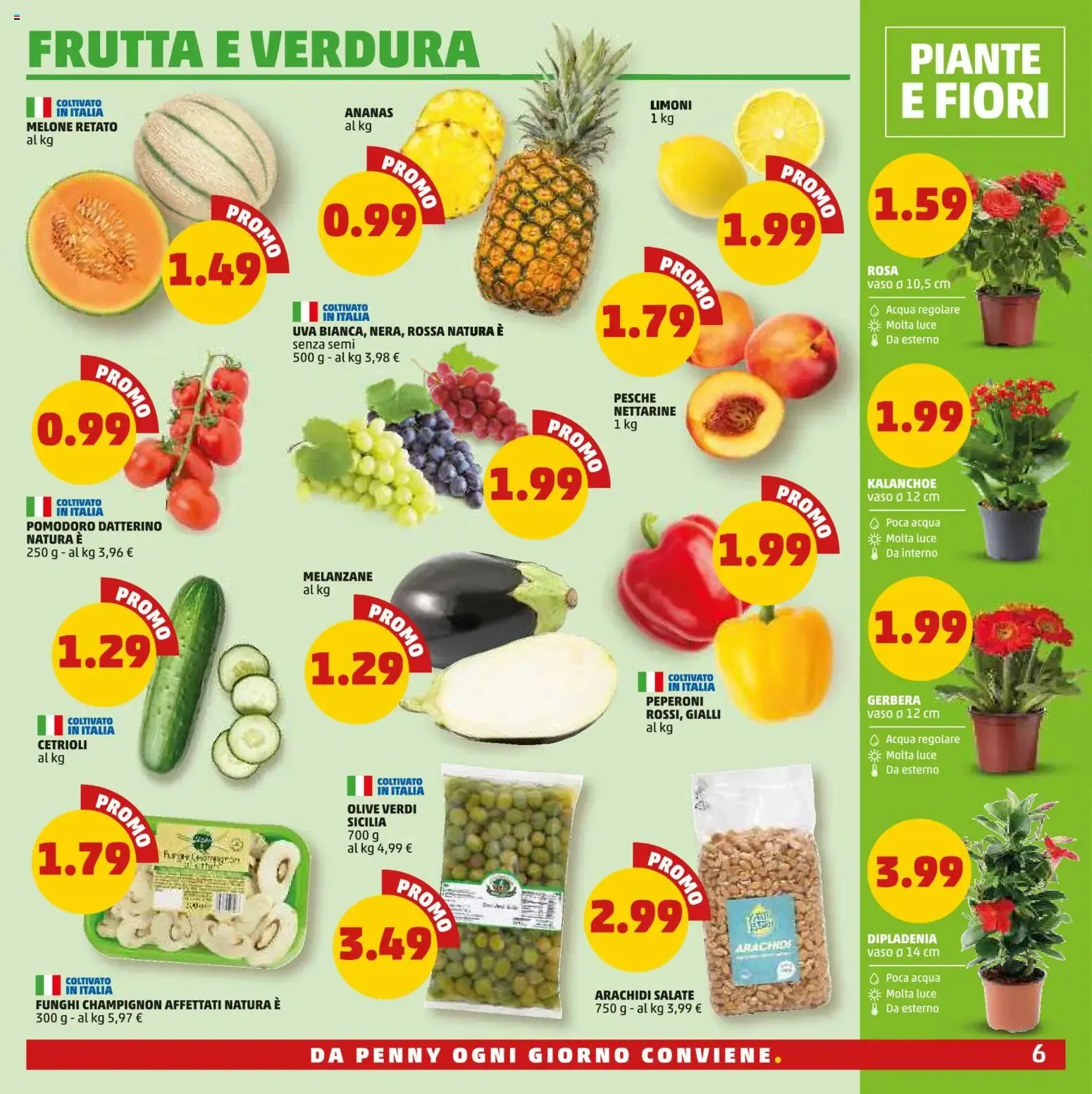 PENNY: Novità 14 giorni di grande convenienza (2 al 15 luglio) da 2 luglio a 15 luglio di 2026 - Pagina del volantino 6