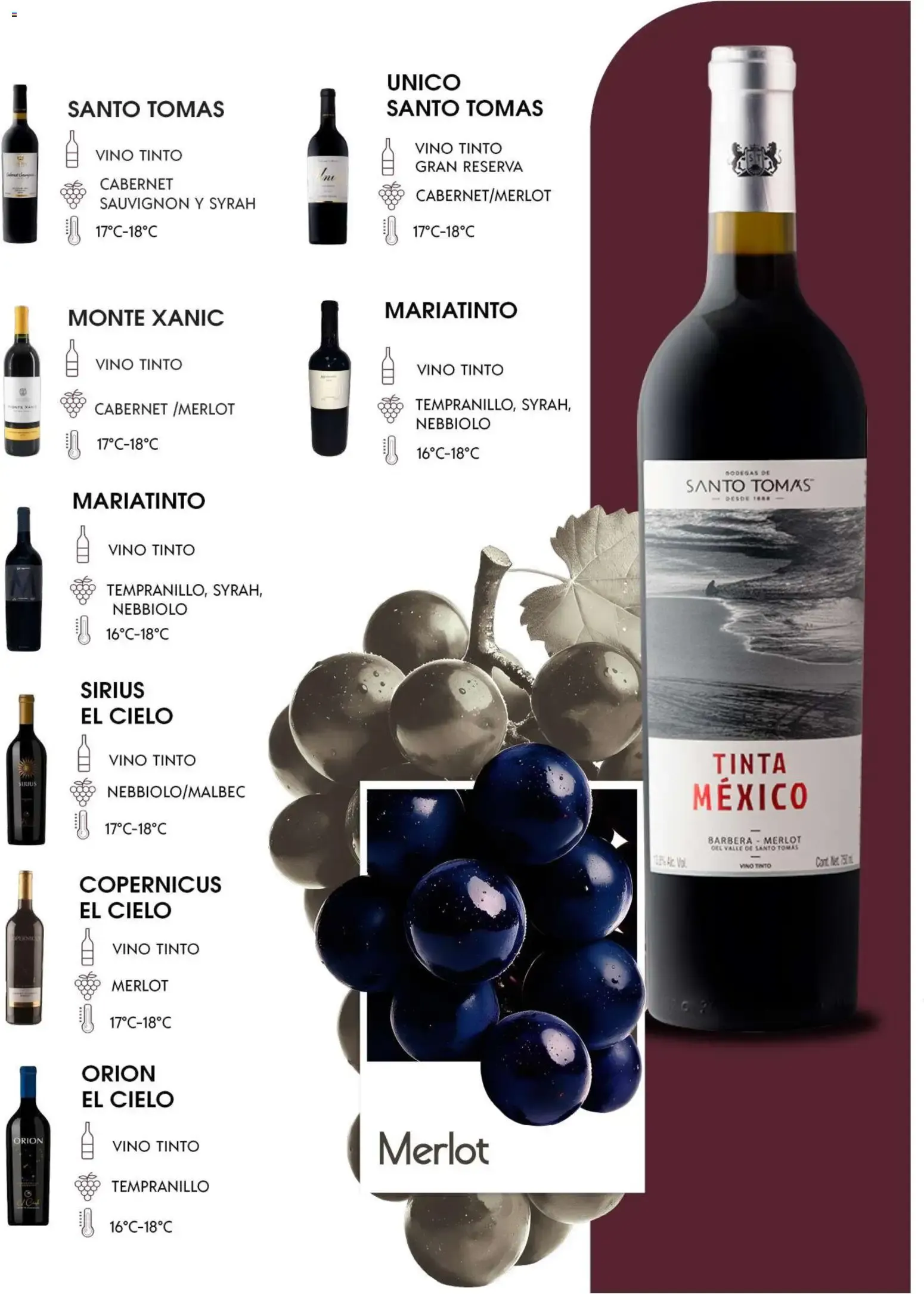 Catálogo de Festival del Vino - Cabernet Sauvignon 29 de septiembre al 29 de septiembre 2026 - Pagina 12