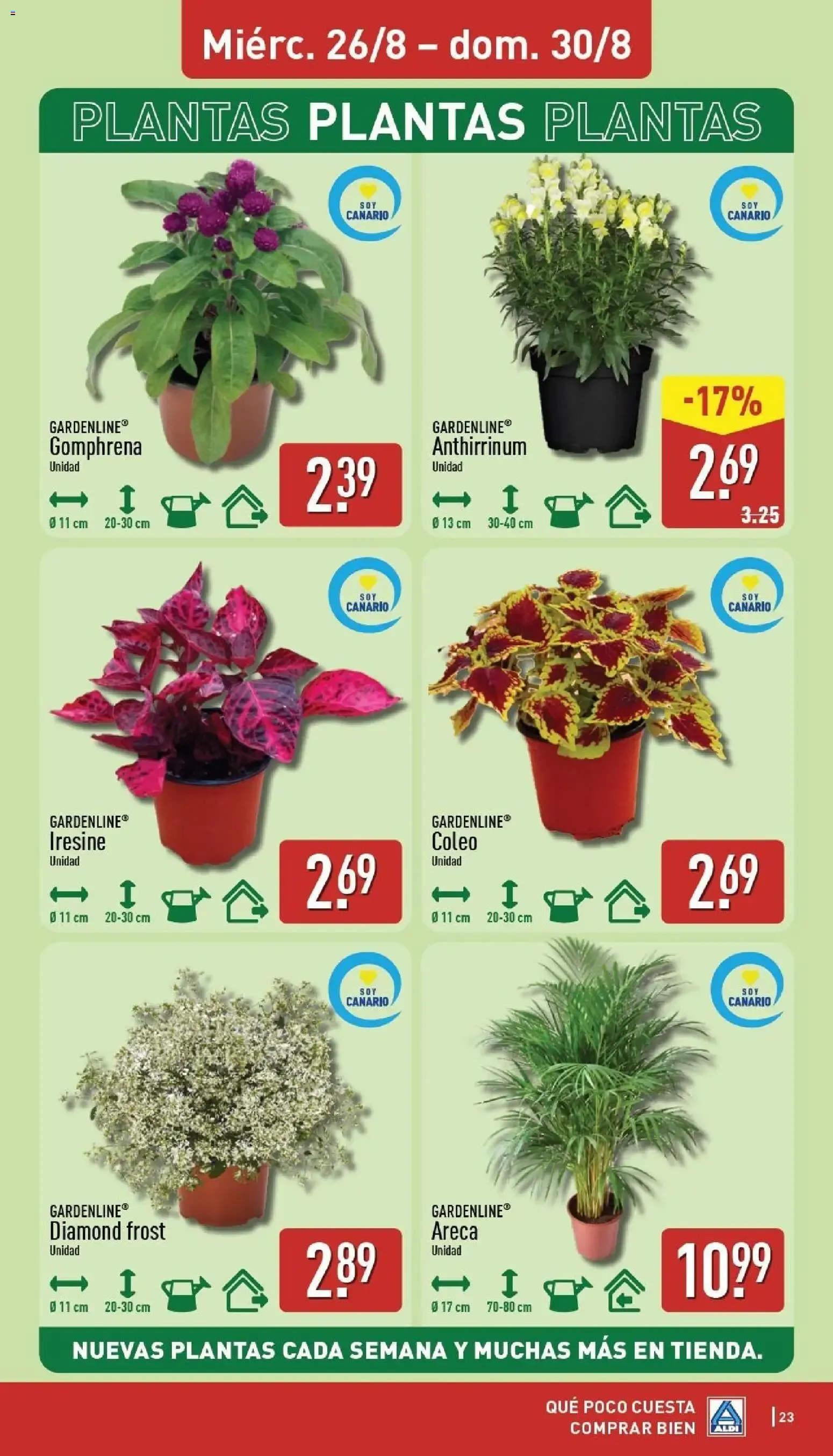 Catálogo de Aldi folleto Canarias del 24/08/2026 | Catálogo 24 de agosto al 30 de agosto 2026 - Página 23