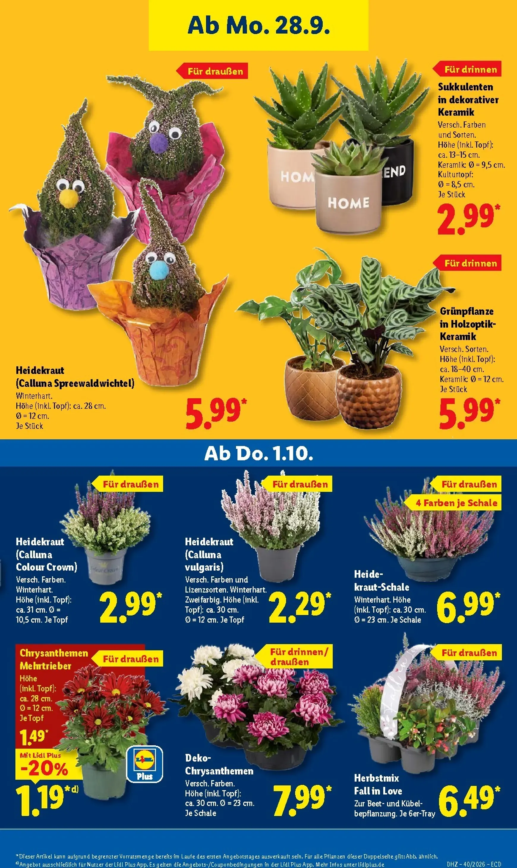 Lidl Prospekt: Traumhaft schlafen von 28. September bis 2. Oktober 2026 - Prospekt seite 26