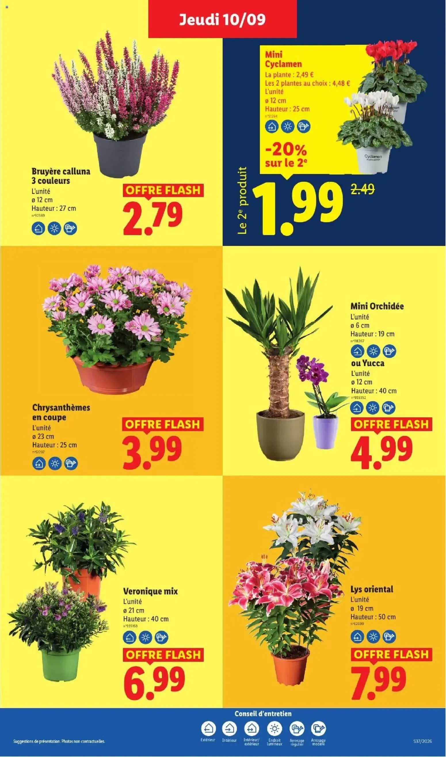 Catalogue LIDL du 10/09/2026 | Promo prospectus en ligne du 10 septembre au 16 septembre 2026 - Catalogue page 49