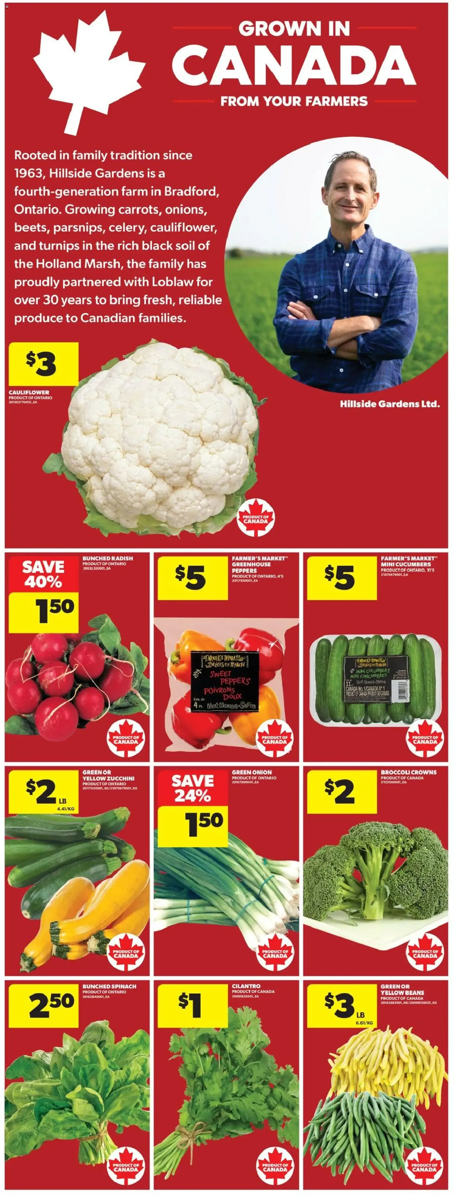Thank You Day - One Day Only Offers from September 24 to September 30 2026 - flyer page 11