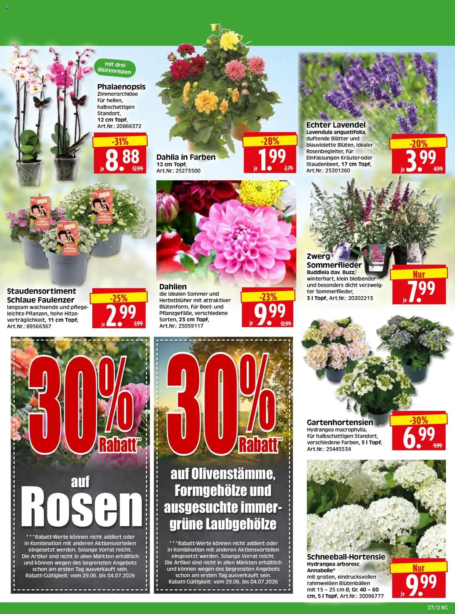 HERKULES Bau & Garten (ab 29.06.2026) zum Blättern von 29. Juni bis 4. Juli 2026 - Prospekt seite 2