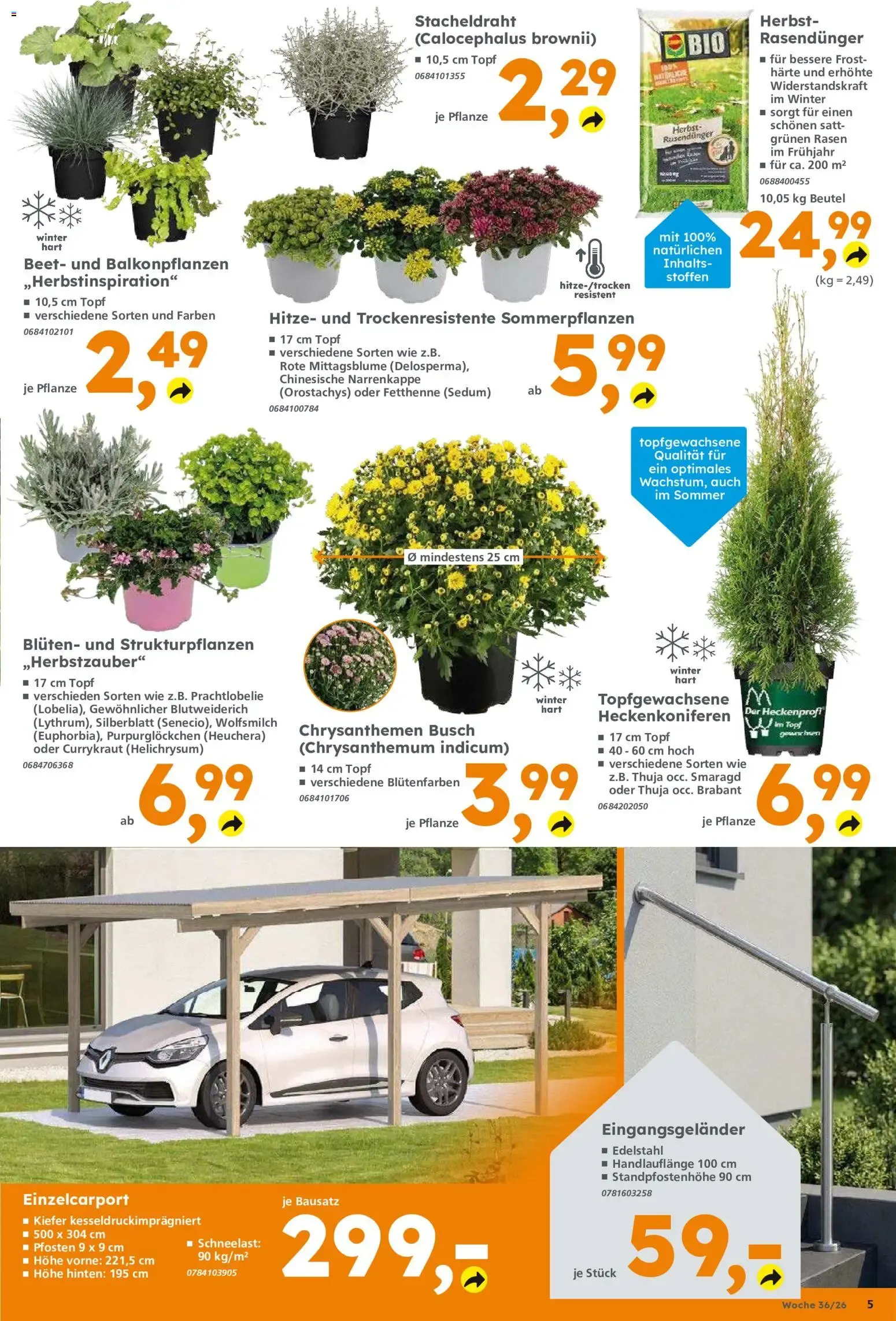 Globus Baumarkt von 31. August bis 5. September 2026 - Prospekt seite 5