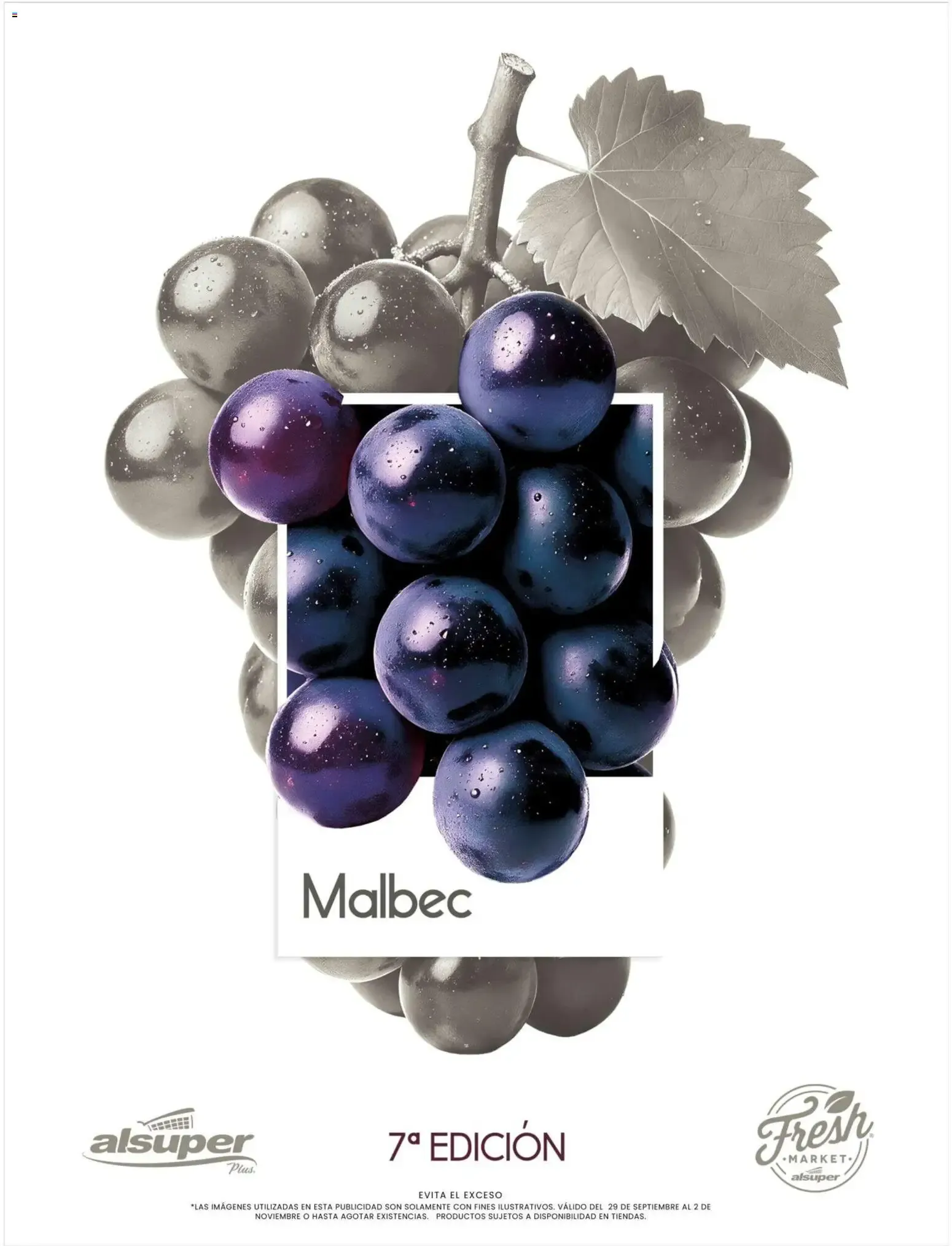 Catálogo de Festival del Vino - Cabernet Sauvignon 29 de septiembre al 29 de septiembre 2026 - Pagina 17