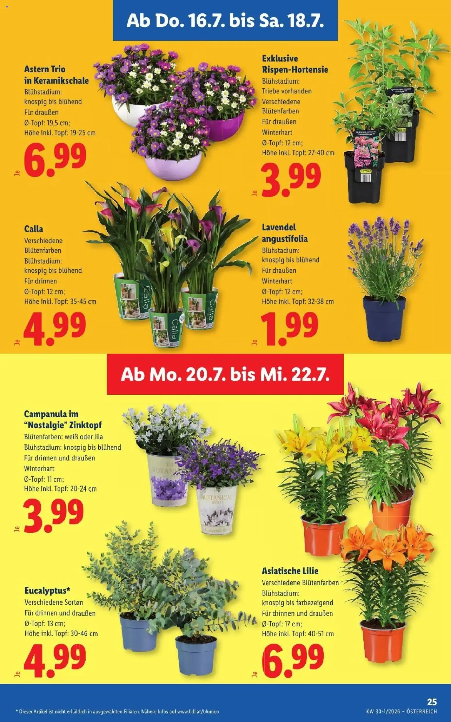 Lidl Flugblatt von 16. Juli bis 22. Juli 2026 - Flugblätt seite  28