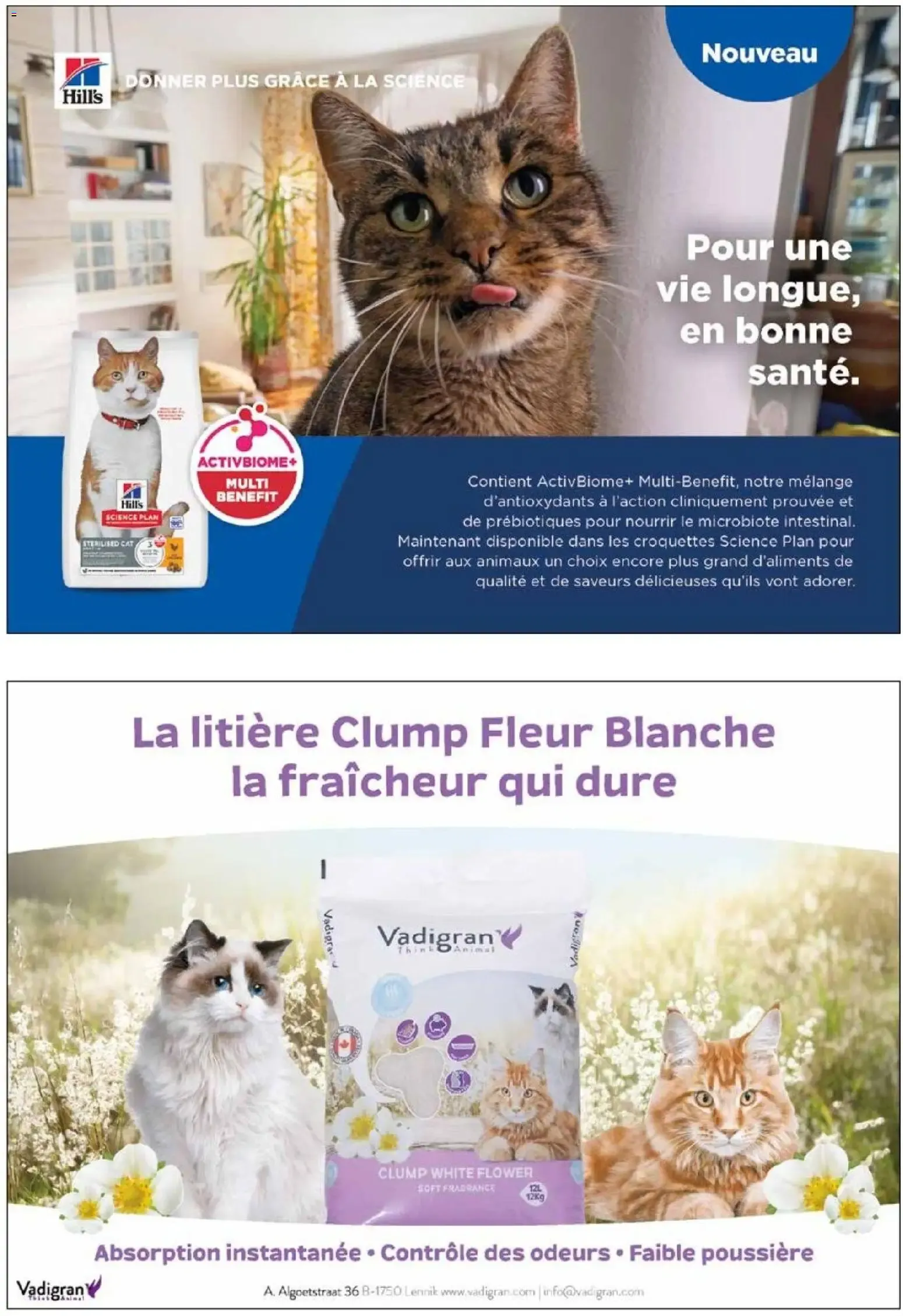 VillaVerde MAGAZINE ANIMALERIE 2026 du 28 mai au 31 août 2026 - Catalogue page 9