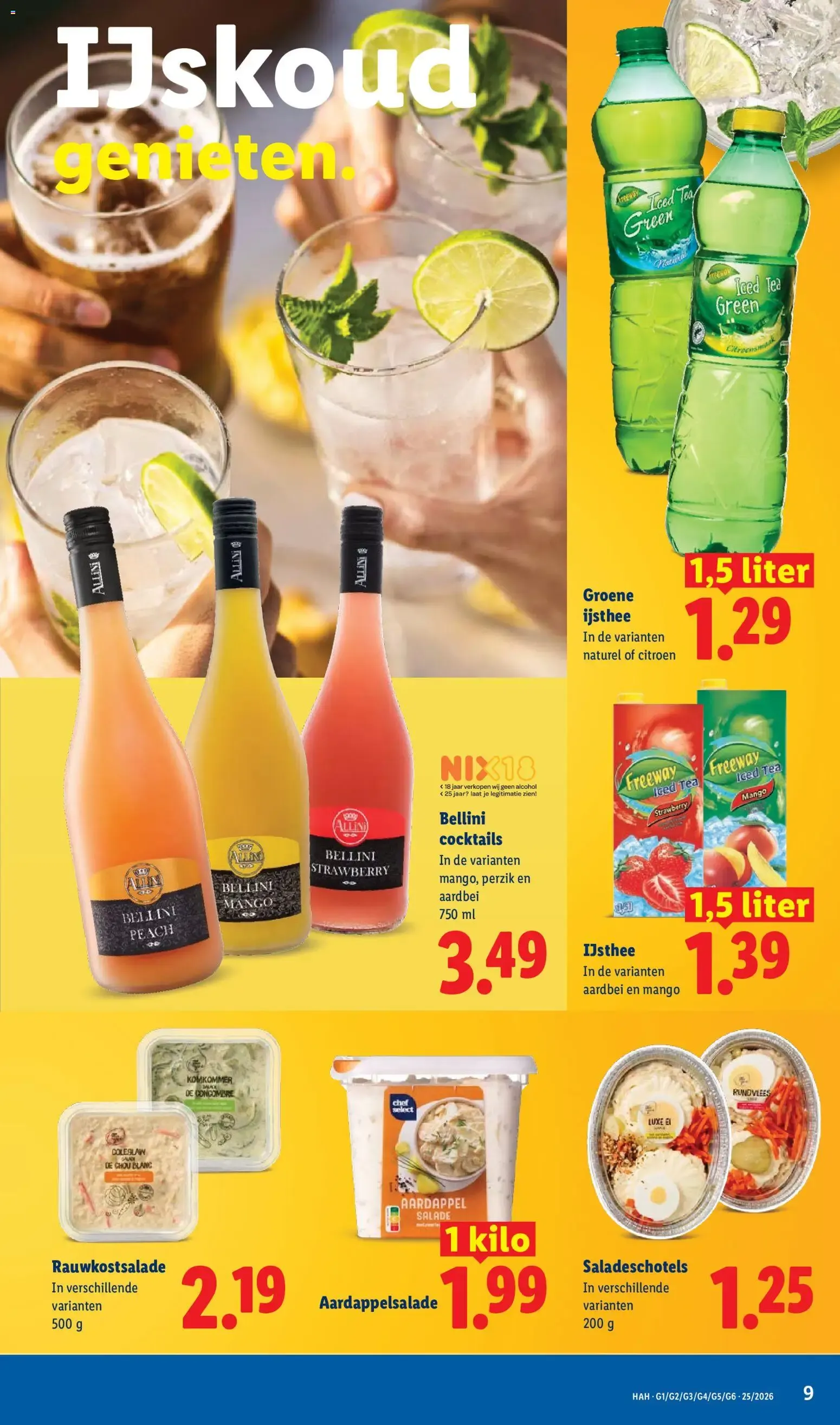 Zin in Zomer van 22 juni tot 31 augustus 2026 - Folder pagina 9