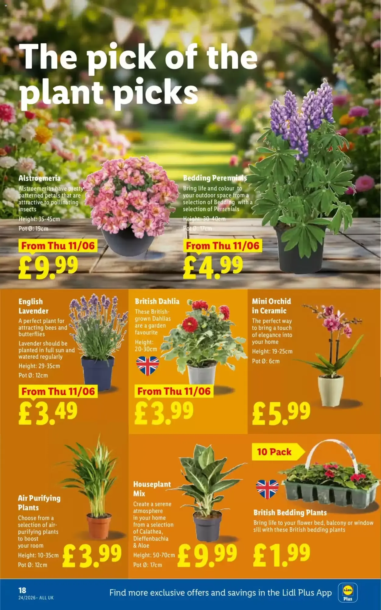 Lidl leaflet week 24 from 11 June to 18 June 2026 - Catalogue Page 18