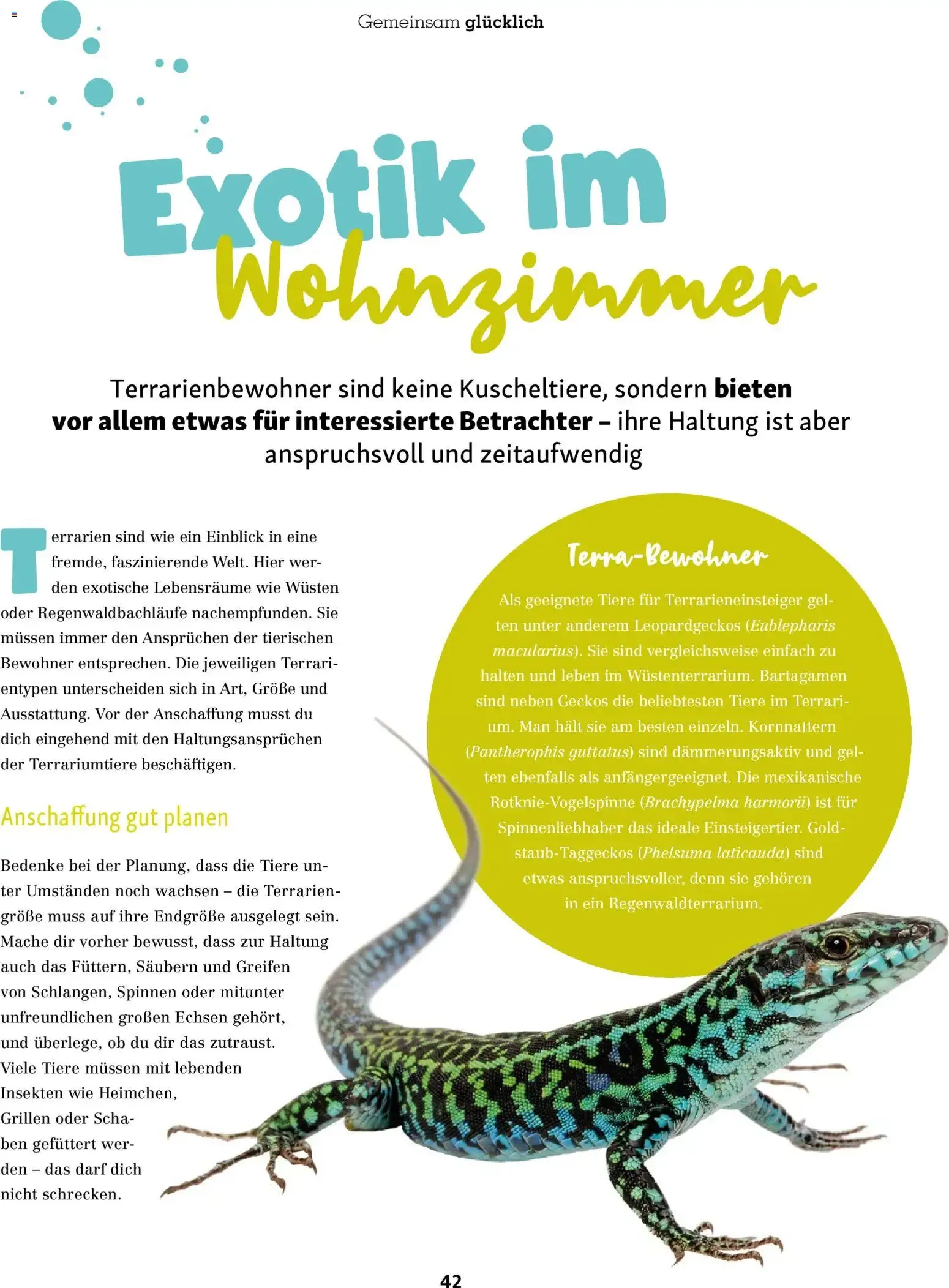FRESSNAPF Friends - Europas größtes Haustier-Magazin von 1. Juli bis 31. August 2026 - Prospekt seite 42