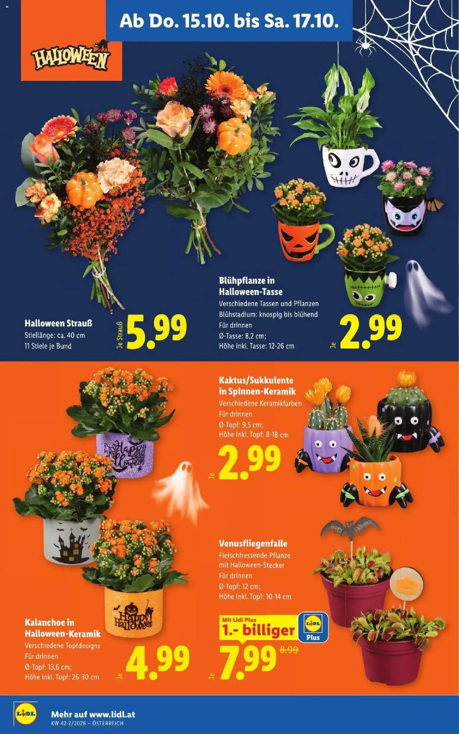 Lidl Flugblatt ab 15.10.2026 - Angebote ab donnerstag von 15. Oktober bis 17. Oktober 2026 - Flugblätt seite  24