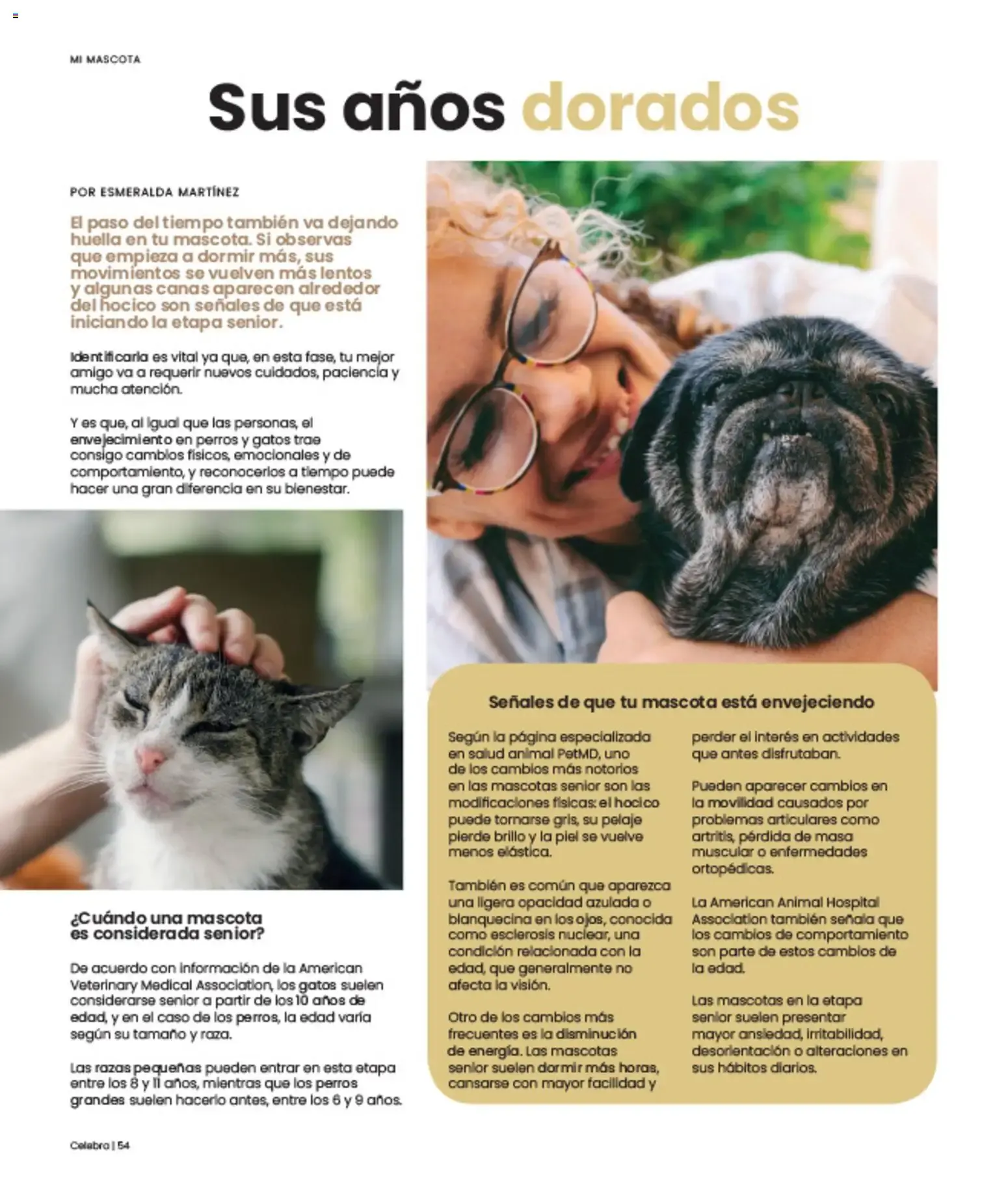 Catálogo de Celebra: Verano Loco - Las Promos Más Locas Entran a la Cancha 1 de julio al 31 de julio 2026 - Pagina 54