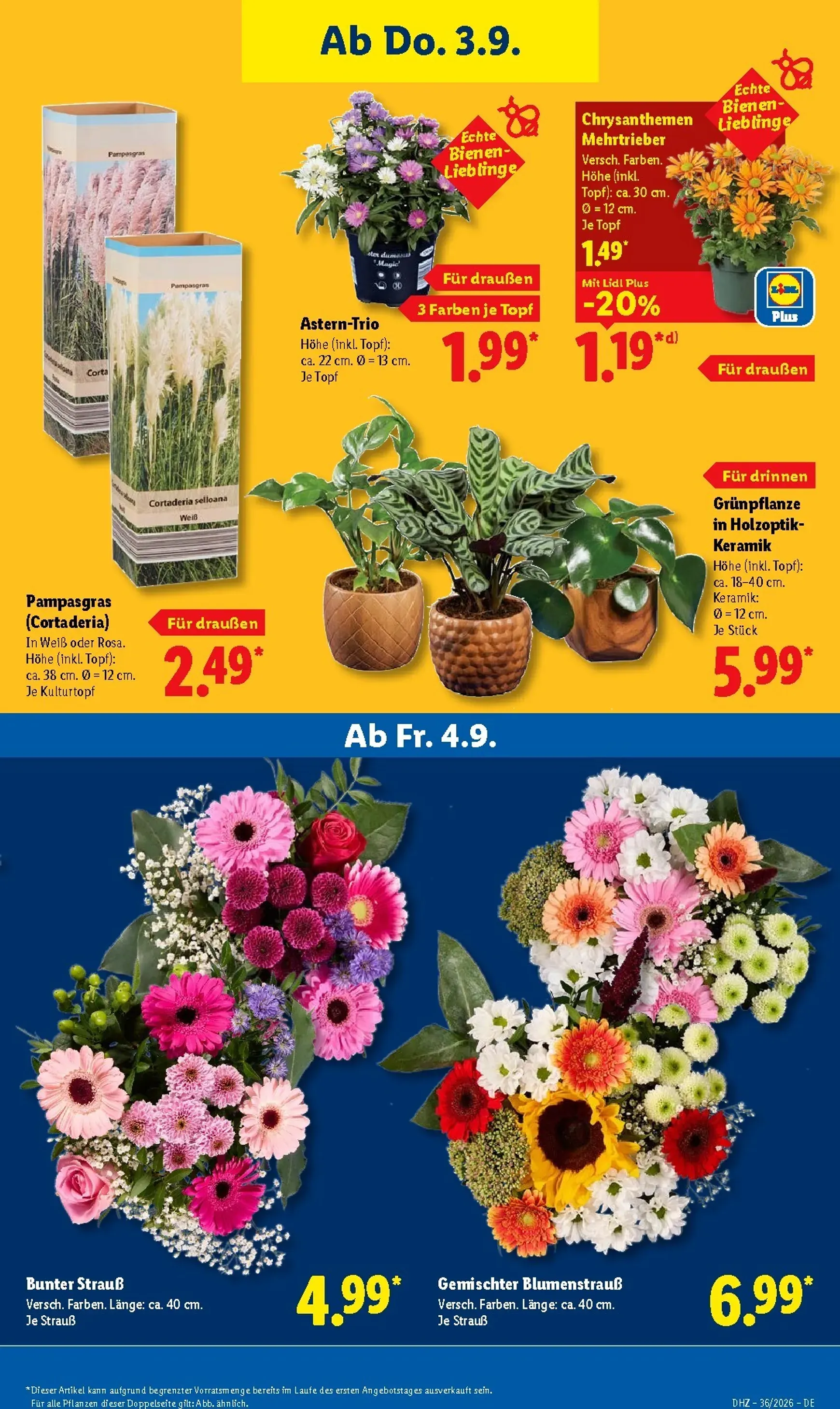 Lidl - Nonfood Prospekt nächste Woche – von Montag 31.08.2026 bis Samstag 05.09.2026 von 31. August bis 5. September 2026 - Prospekt seite 28