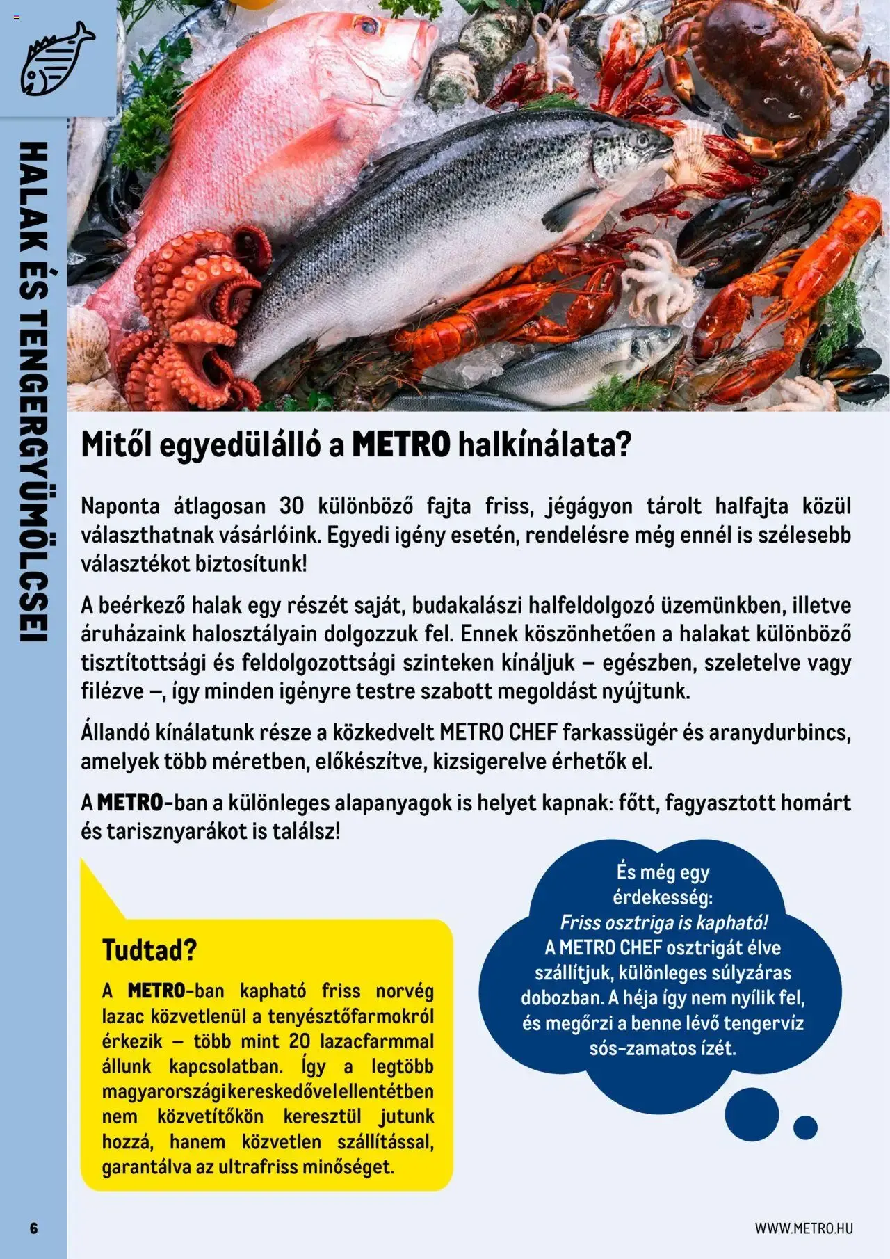 Katalógus Metro - Professzionális termékek, profi felhasználóknak! - 2025.06.01. -tól/töl > akció, lapozható szórólap 🛍️ június 1.-tól december 31.-ig 2026. - Oldal 6