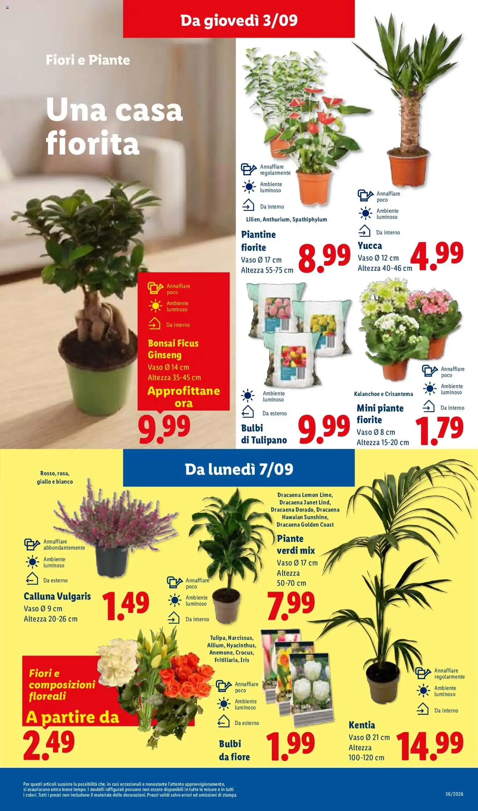 LIDL Sotto Costo da 3 settembre a 9 settembre di 2026 - Pagina del volantino 11