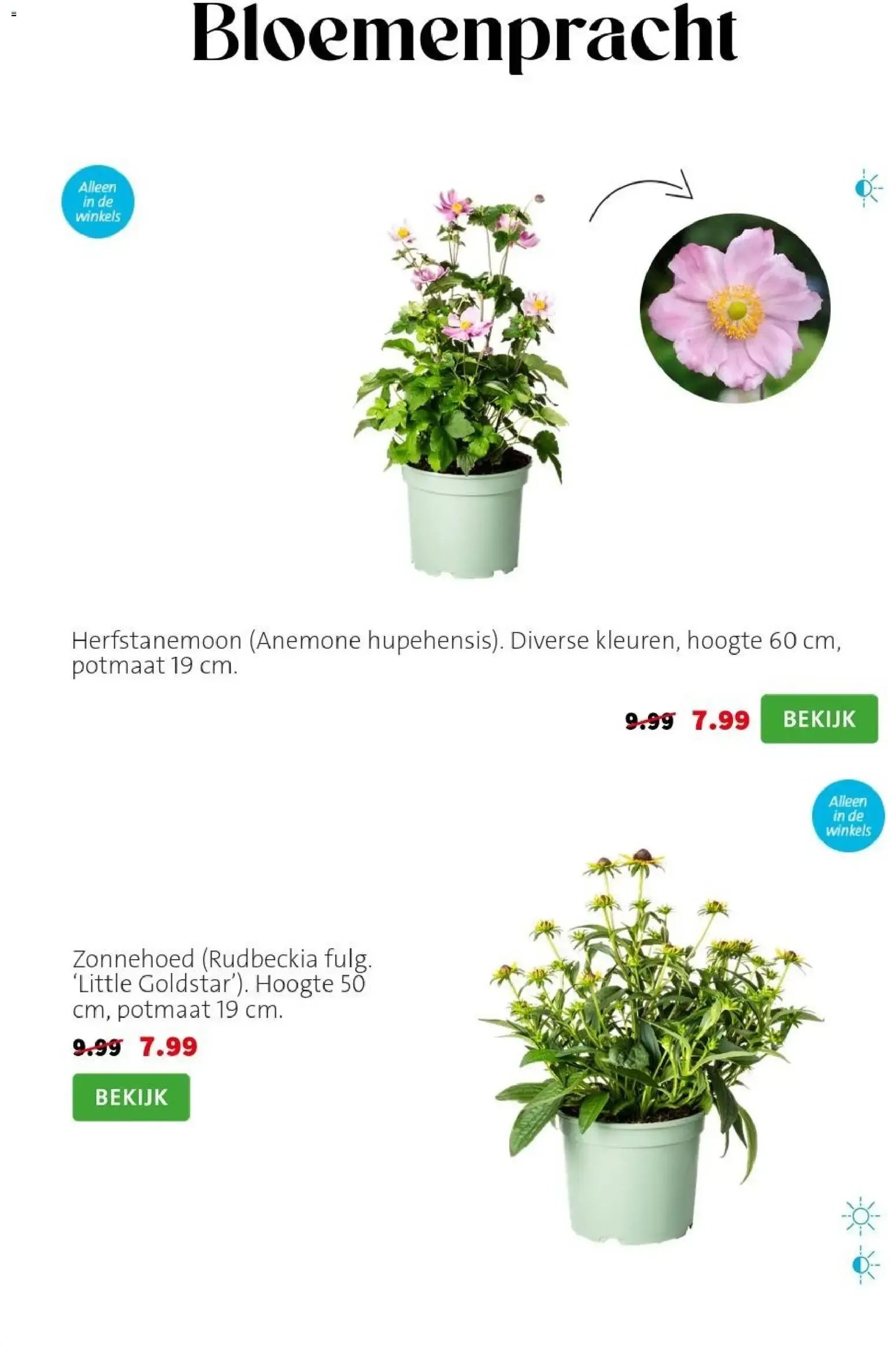 Planten-statement van 31 augustus tot 6 september 2026 - Folder pagina 4