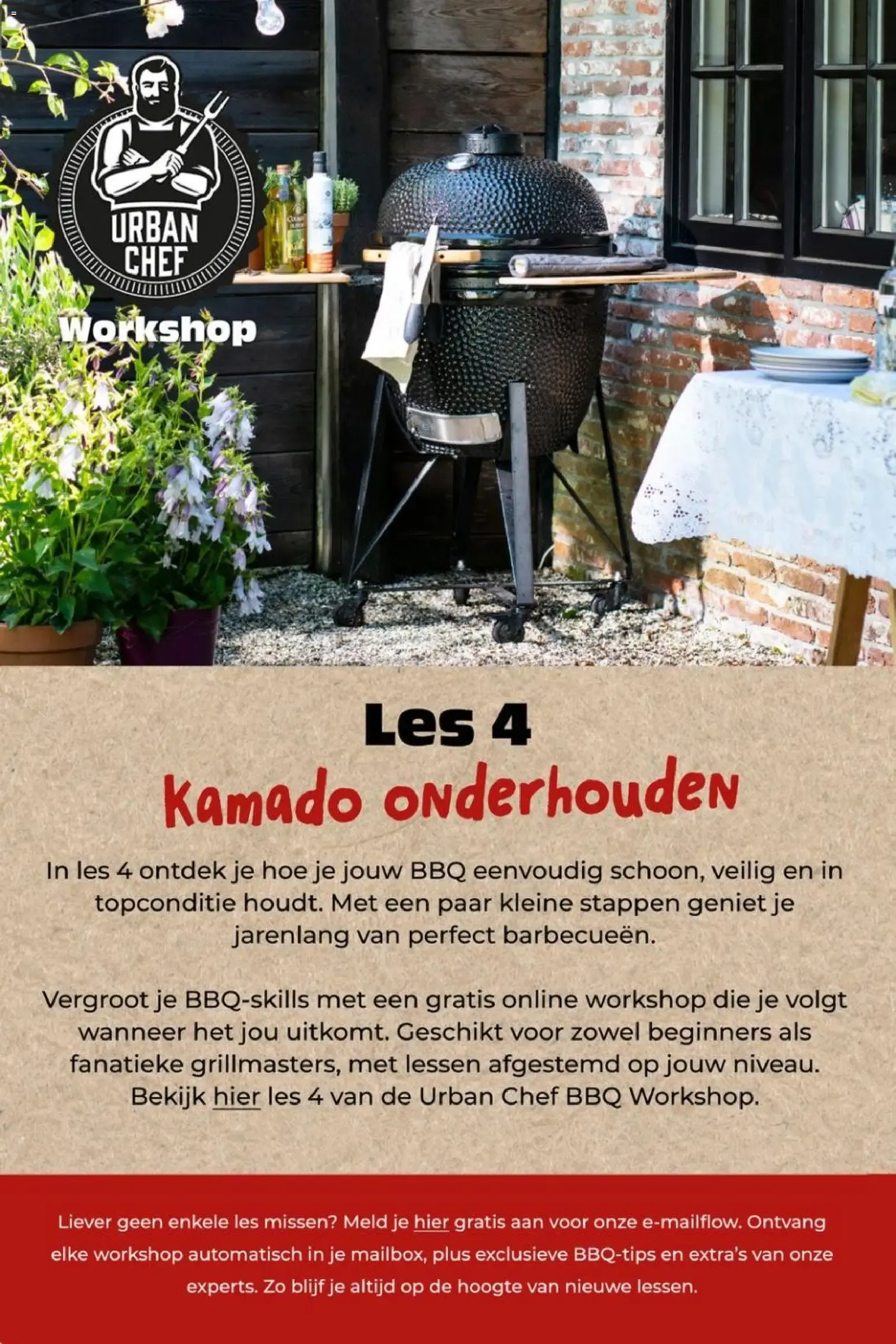 Intratuin Hitteproof - Blauw Schapengras van 13 juli tot 19 juli 2026 - Folder pagina 6
