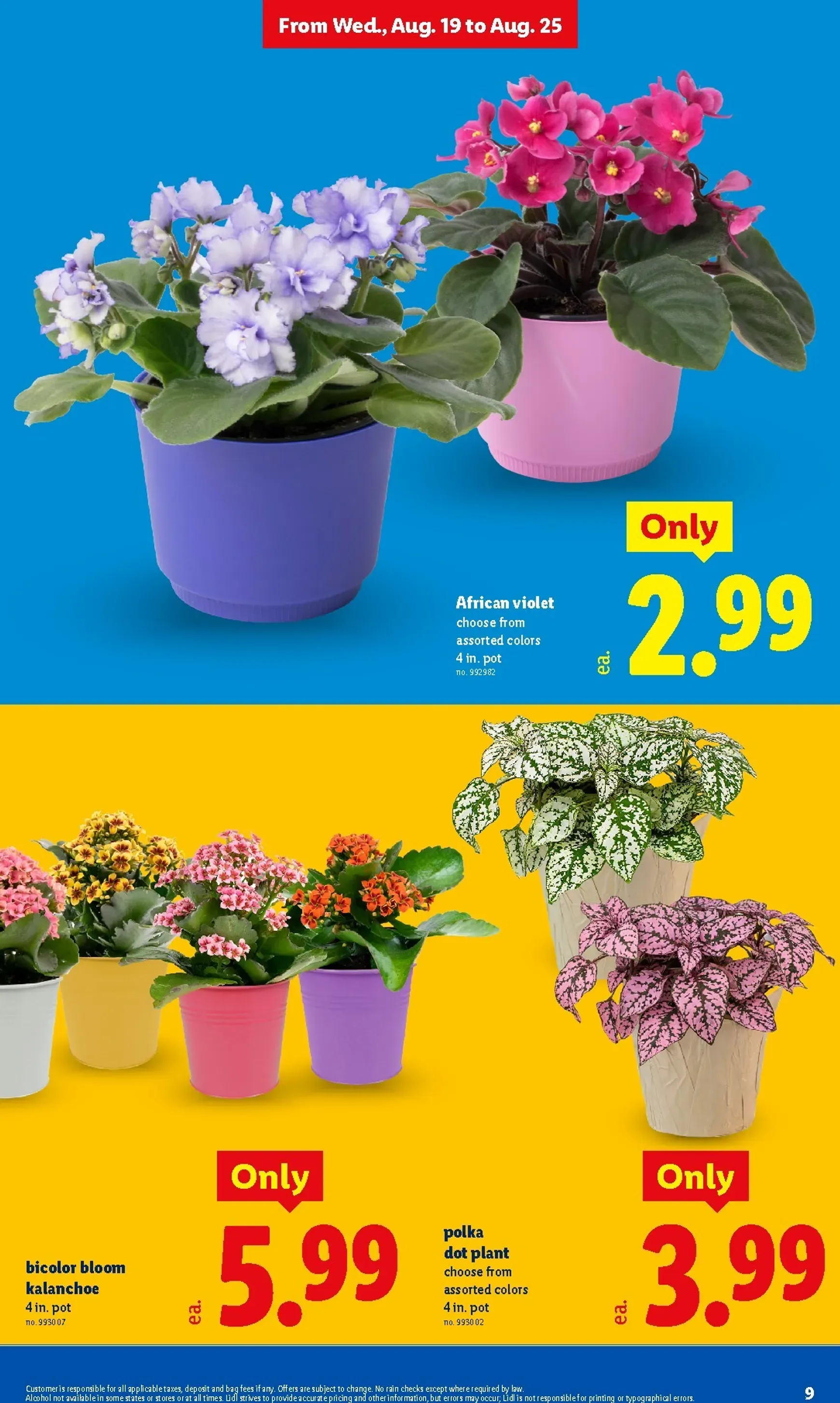 Weekly promotion Current Lidl leaflet valid from Wednesday 08/19/2026 to Tuesday 08/25/2026 spanning from August 19 to August 25 2026 - Page 9 for Catalogue 365