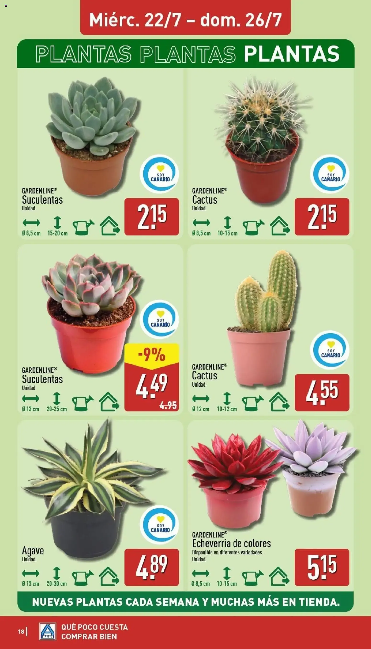 Catálogo de Aldi: Frescura a precios para la piscina 20 de julio al 26 de julio 2026 - Página 18