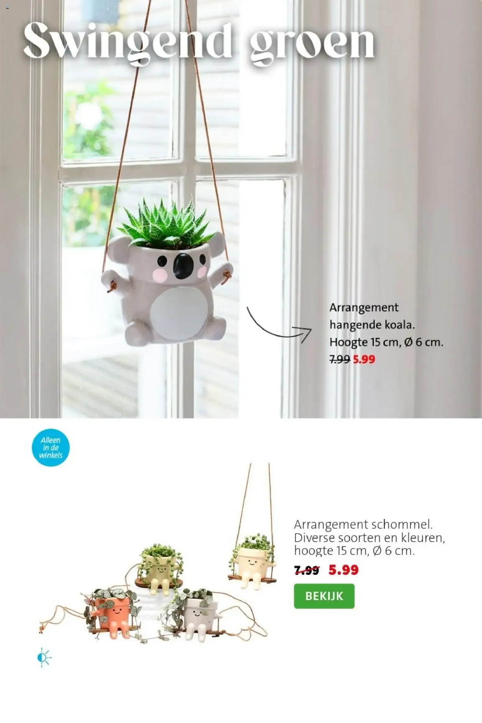 Intratuin: SALE tot 50% korting van 17 augustus tot 23 augustus 2026 - Folder pagina 5