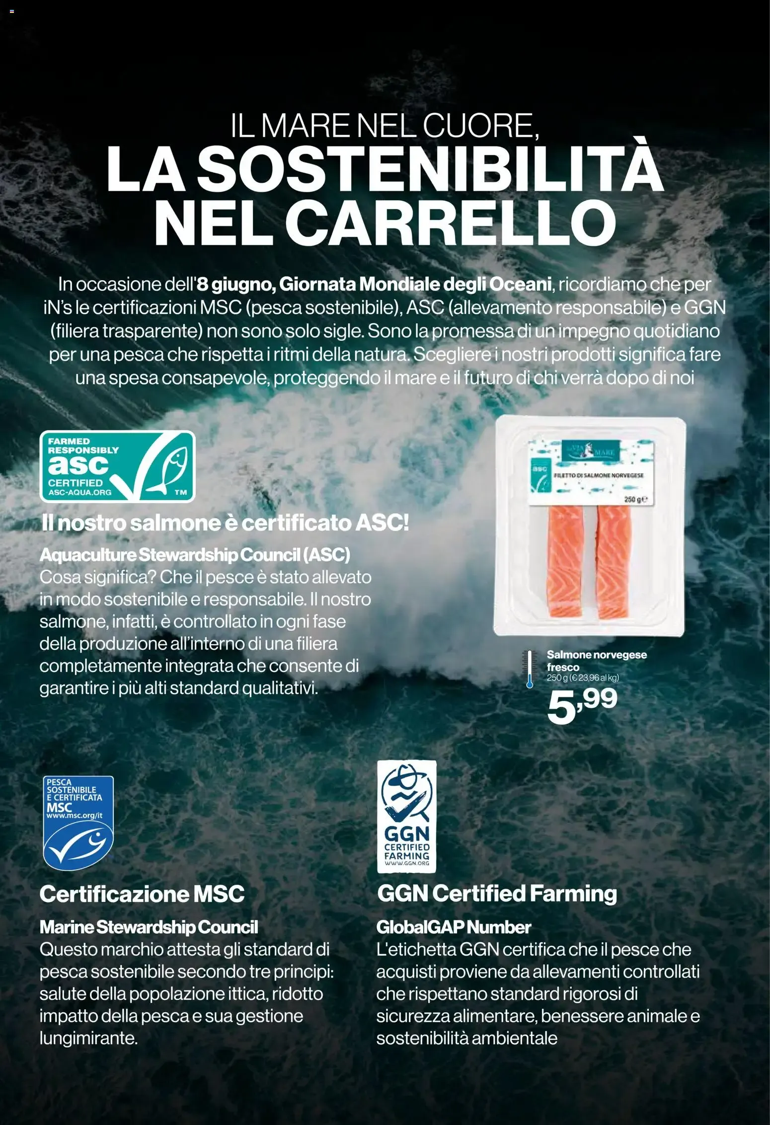 IN's Mercato: Sapori & Sorrisi a tutta Griglia da 3 giugno a 14 giugno di 2026 - Pagina del volantino 10