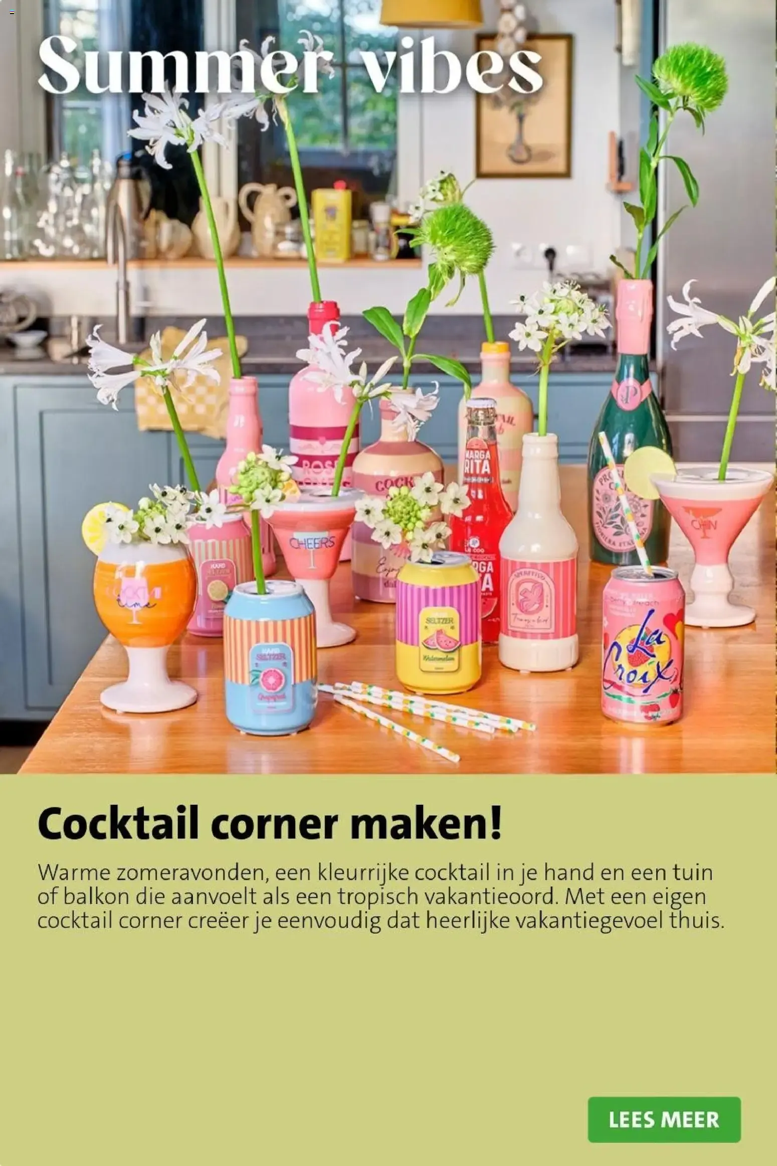 Intratuin: SALE tot 50% korting van 17 augustus tot 23 augustus 2026 - Folder pagina 12