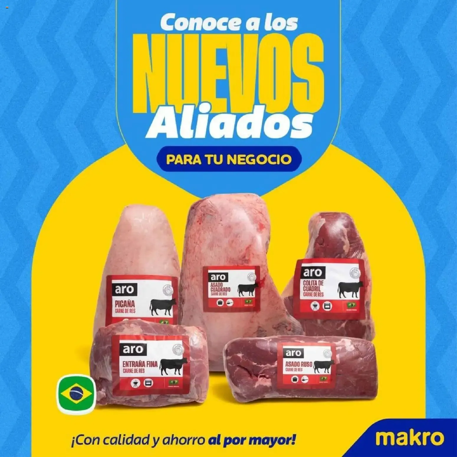 Catalogo de Makro Ahorro: El aliado para tu negocio 22 de octubre al 28 de octubre 2026 - Pag 17