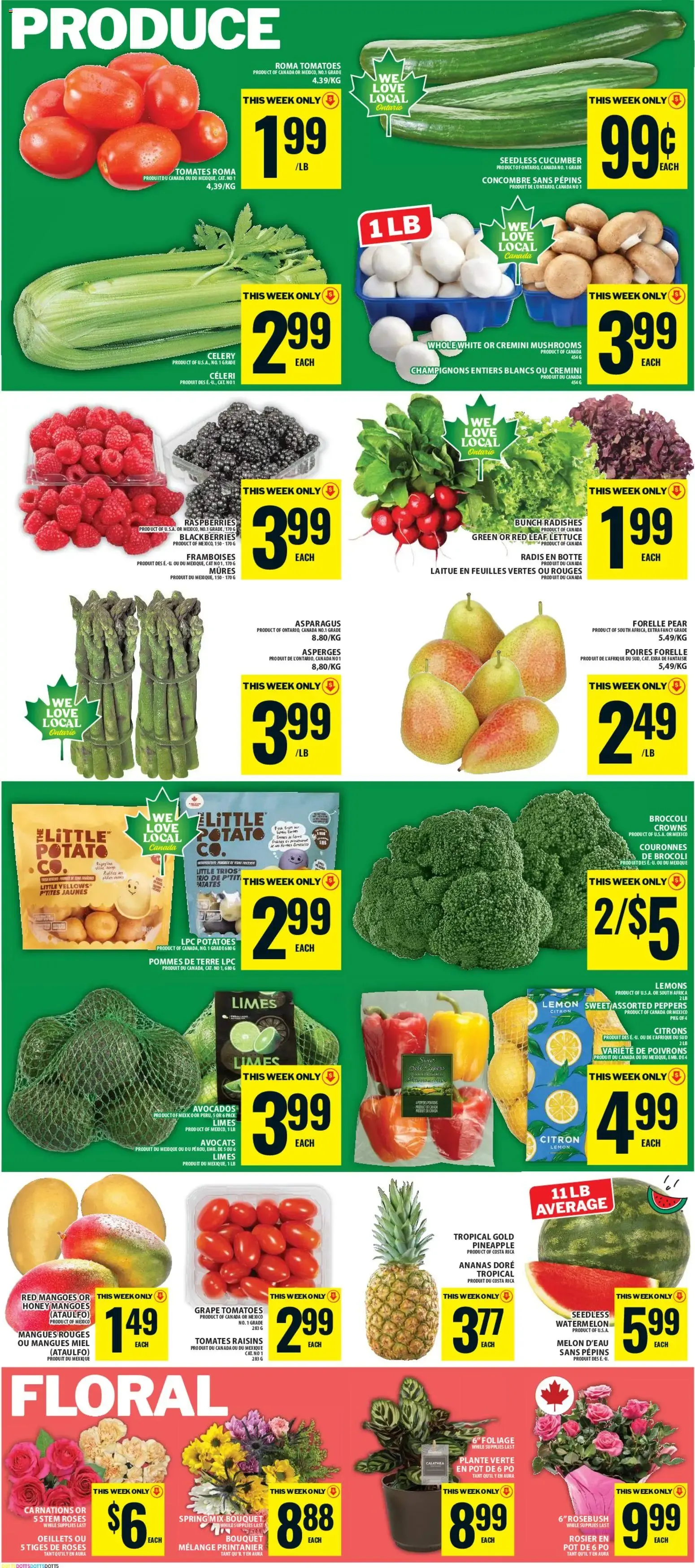 Food Basics weekly flyer - Kanata from Jun 18, 2026 > weekly specials & deals from June 18 to June 24 2026 - flyer page 6