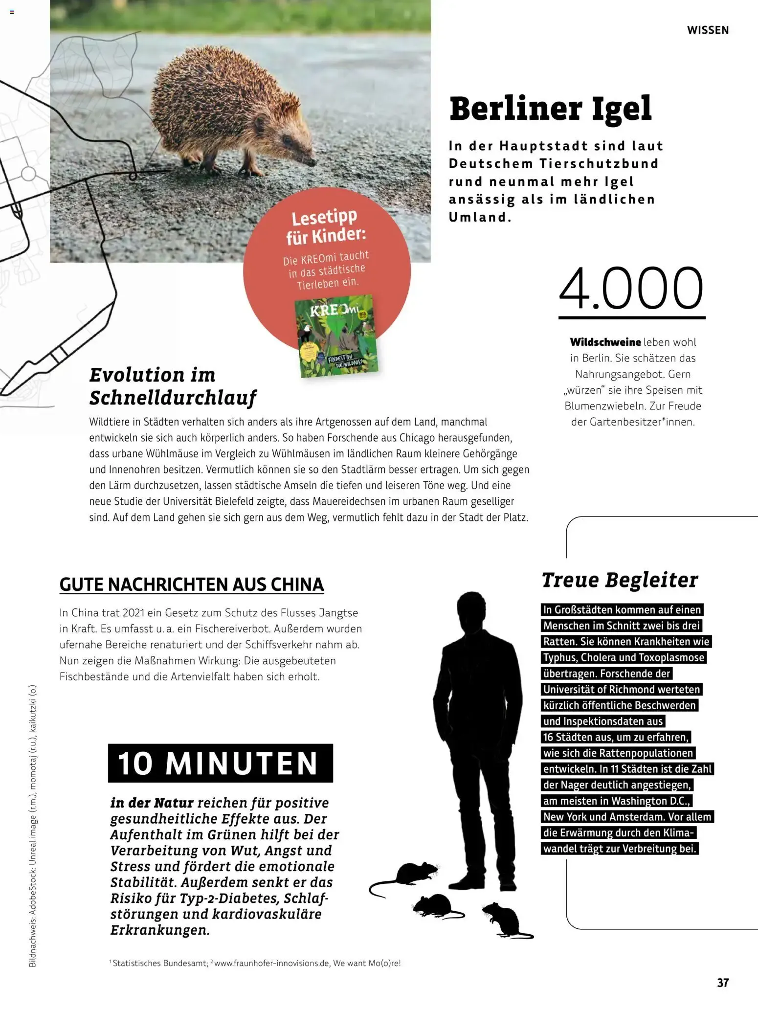 Das BioMarkt Magazin KREO von 17. Juli bis 30. September 2026 - Prospekt seite 36