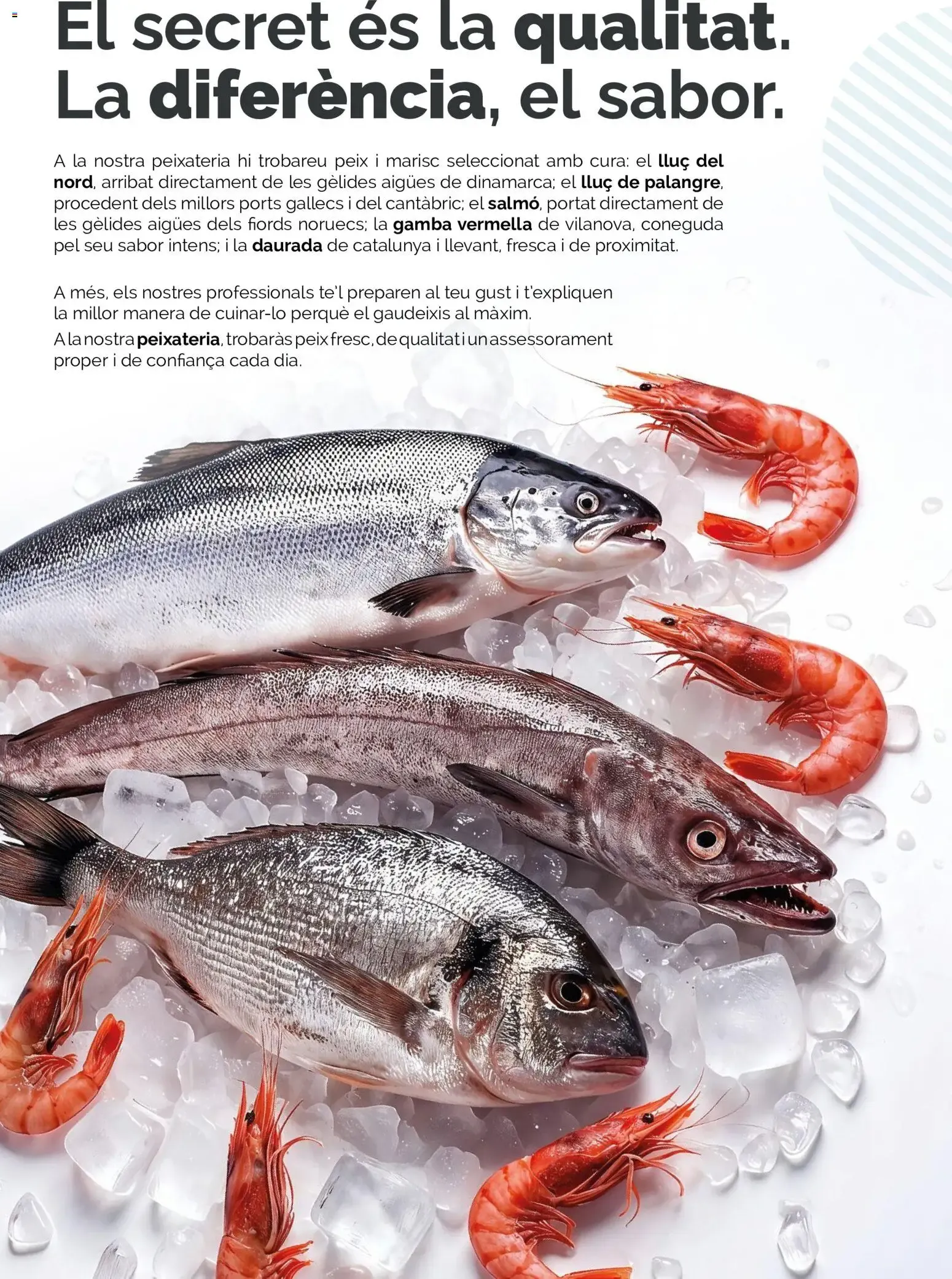 Catálogo de Condis: Lote Ahorro 19 de agosto al 1 de septiembre 2026 - Página 2