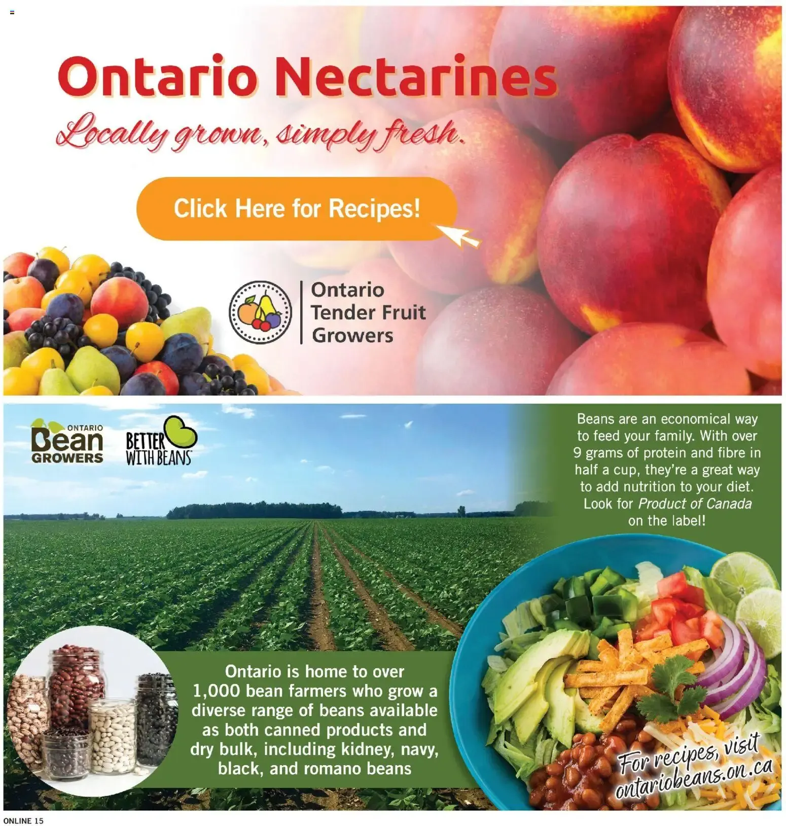 Fortinos weekly flyer from August 20 to August 26 2026 - flyer page 15