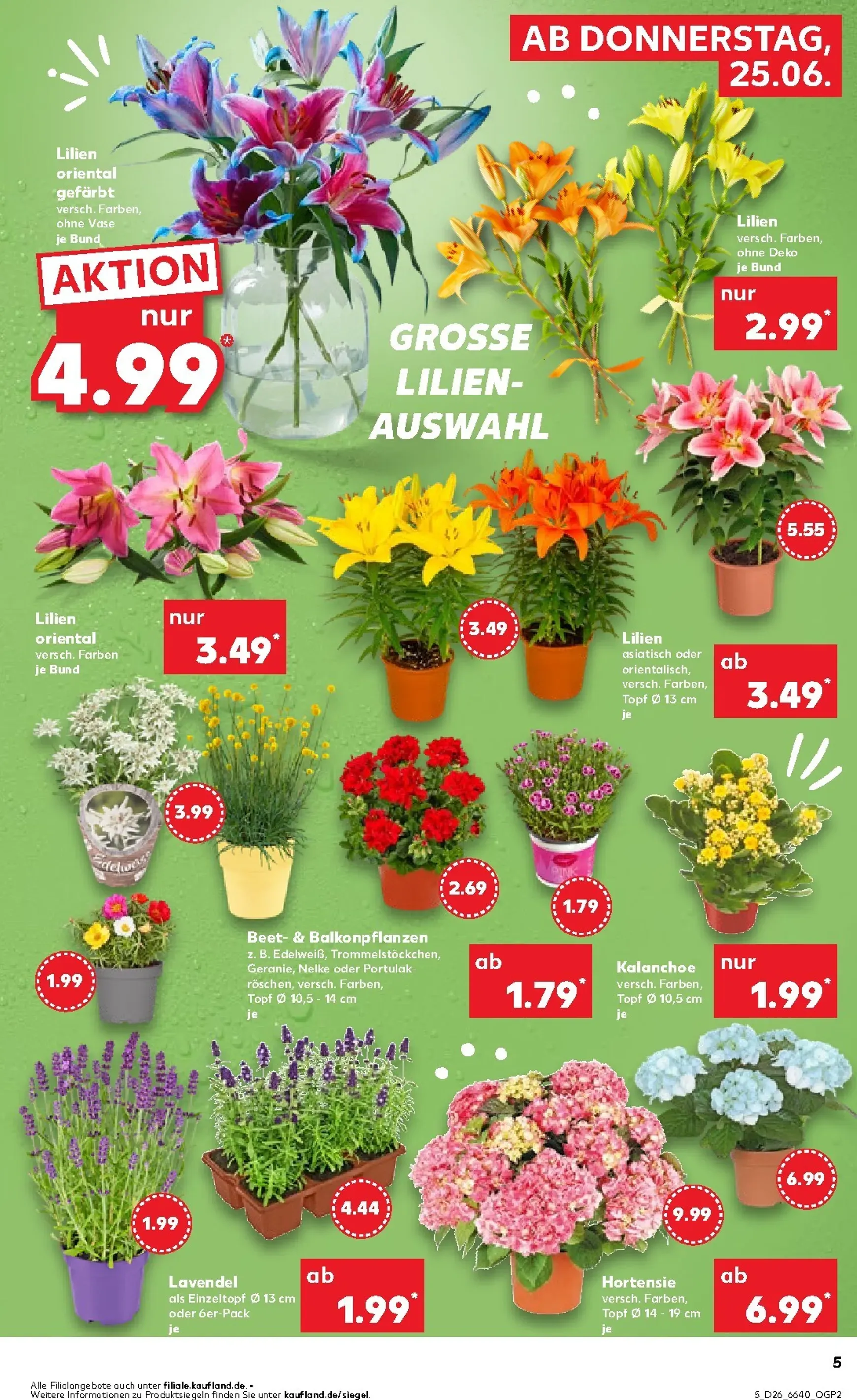 Neuer Kaufland Prospekt – von Donnerstag 25.06.2026 bis Mittwoch 01.07.2026 von 25. Juni bis 1. Juli 2026 - Prospekt seite 6