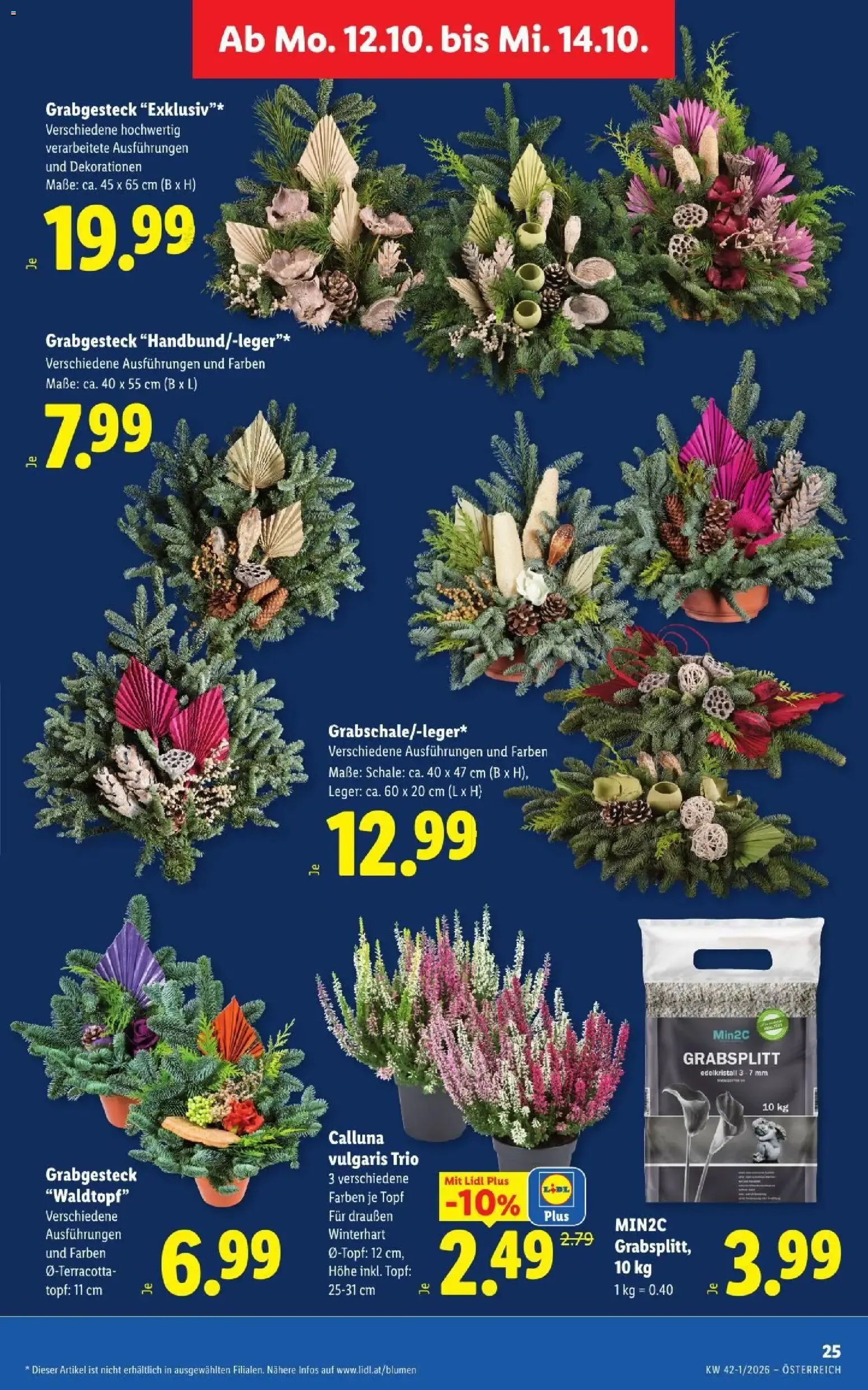 Lidl Aktion von 8. Oktober bis 10. Oktober 2026 - Flugblätt seite  34