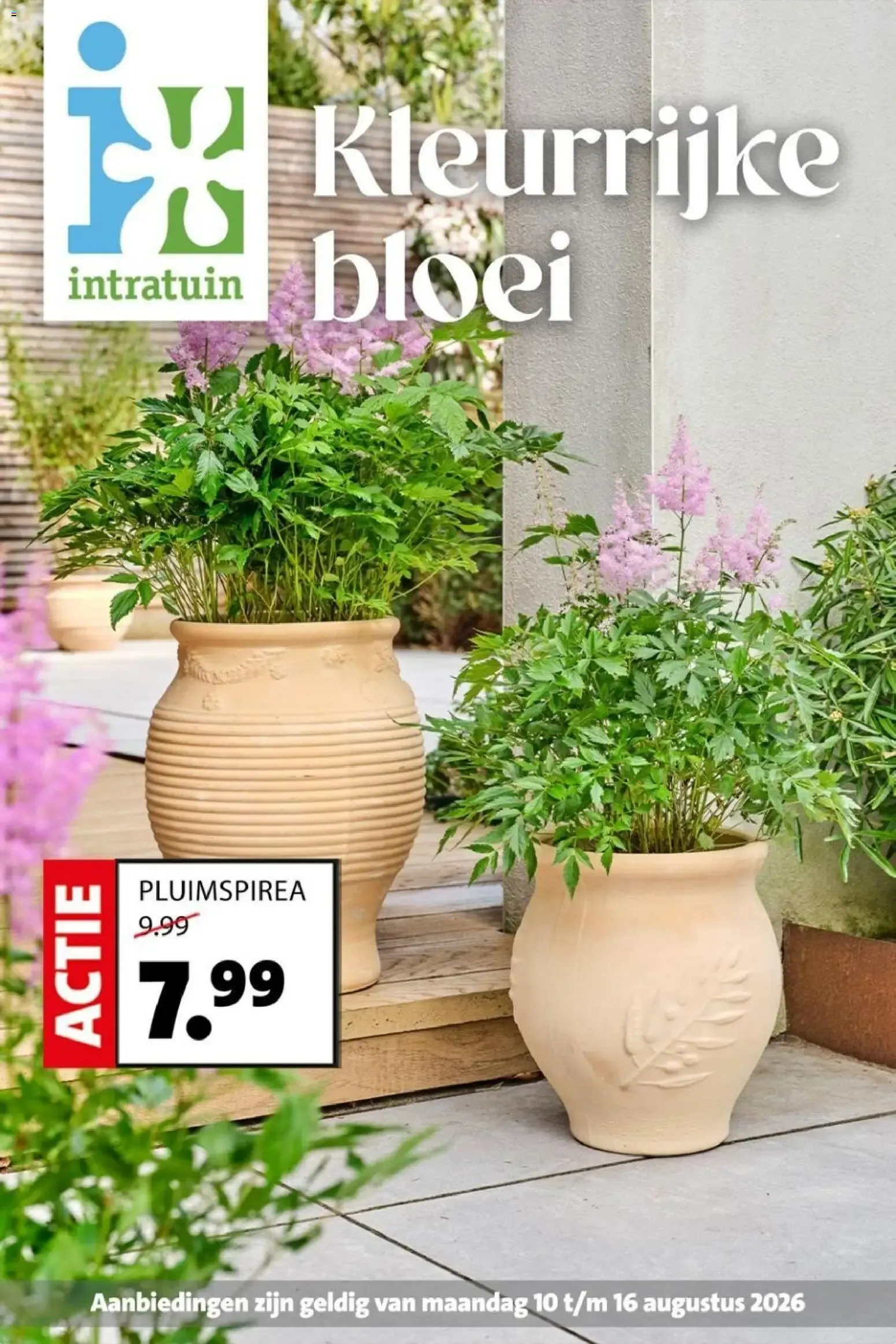 Kleurrijke bloei van 10 augustus tot 16 augustus 2026 - Folder pagina 1