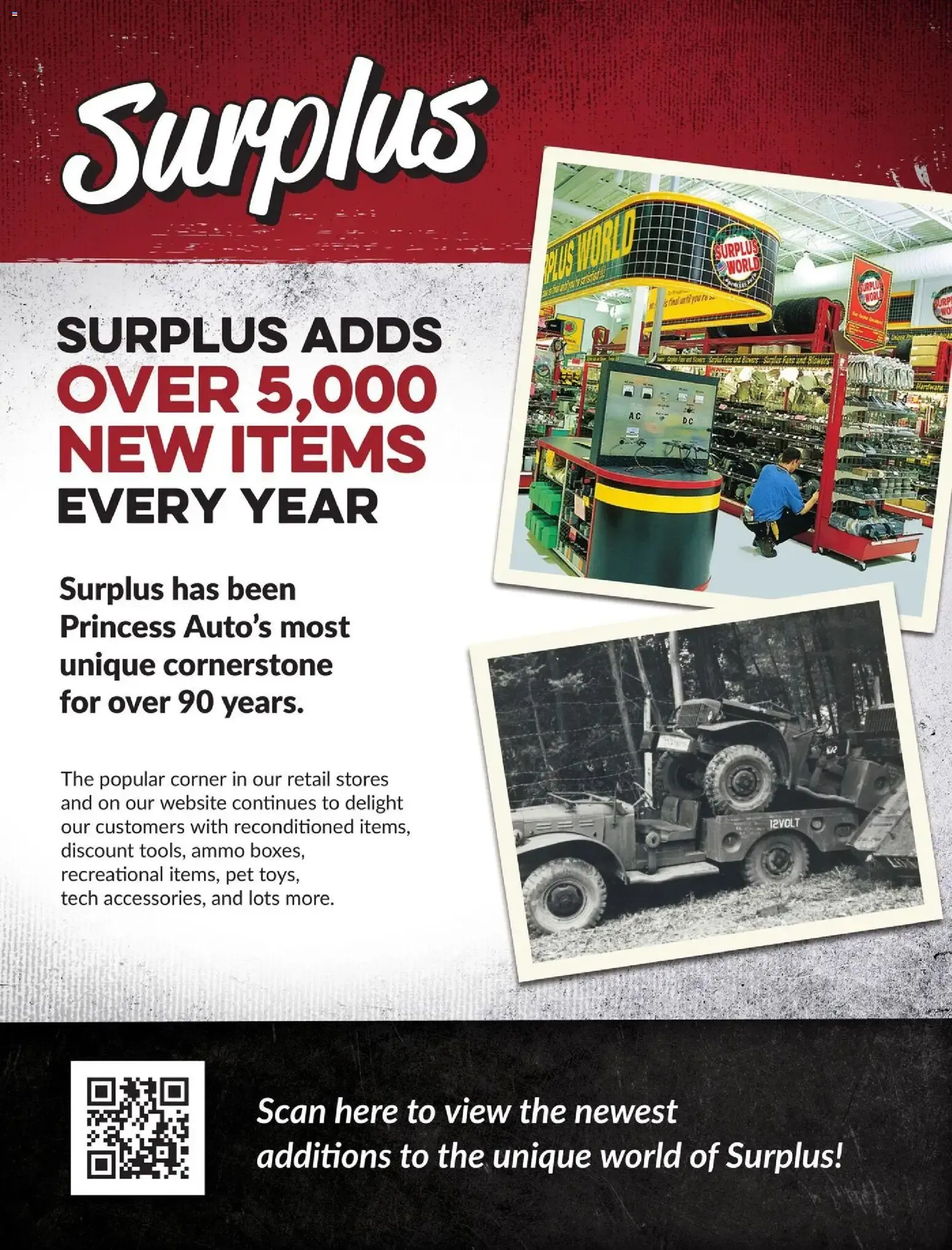 Princess Auto 2026 Catalogue - Surplus from April 21 to April 21 2027 - flyer page 3