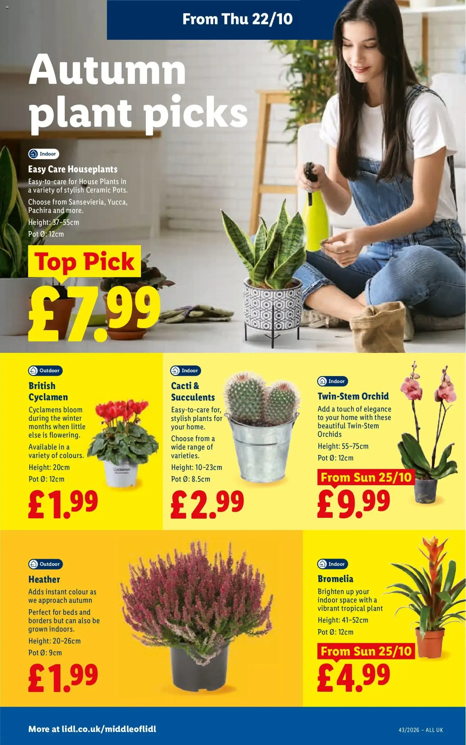 Weekly offers Lidl Wales (22/10/2026 - 28/10/2026) - Offers Online from 22 October to 28 October 2026 - Catalogue Page 28