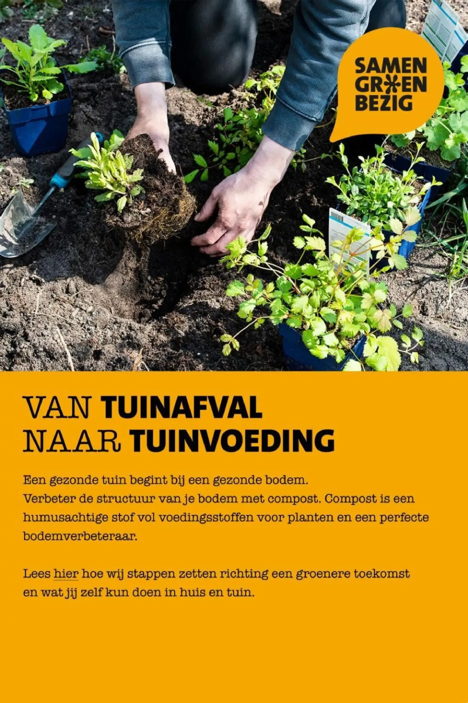 Bloeiend de zomer door van 6 juli tot 12 juli 2026 - Folder pagina 5