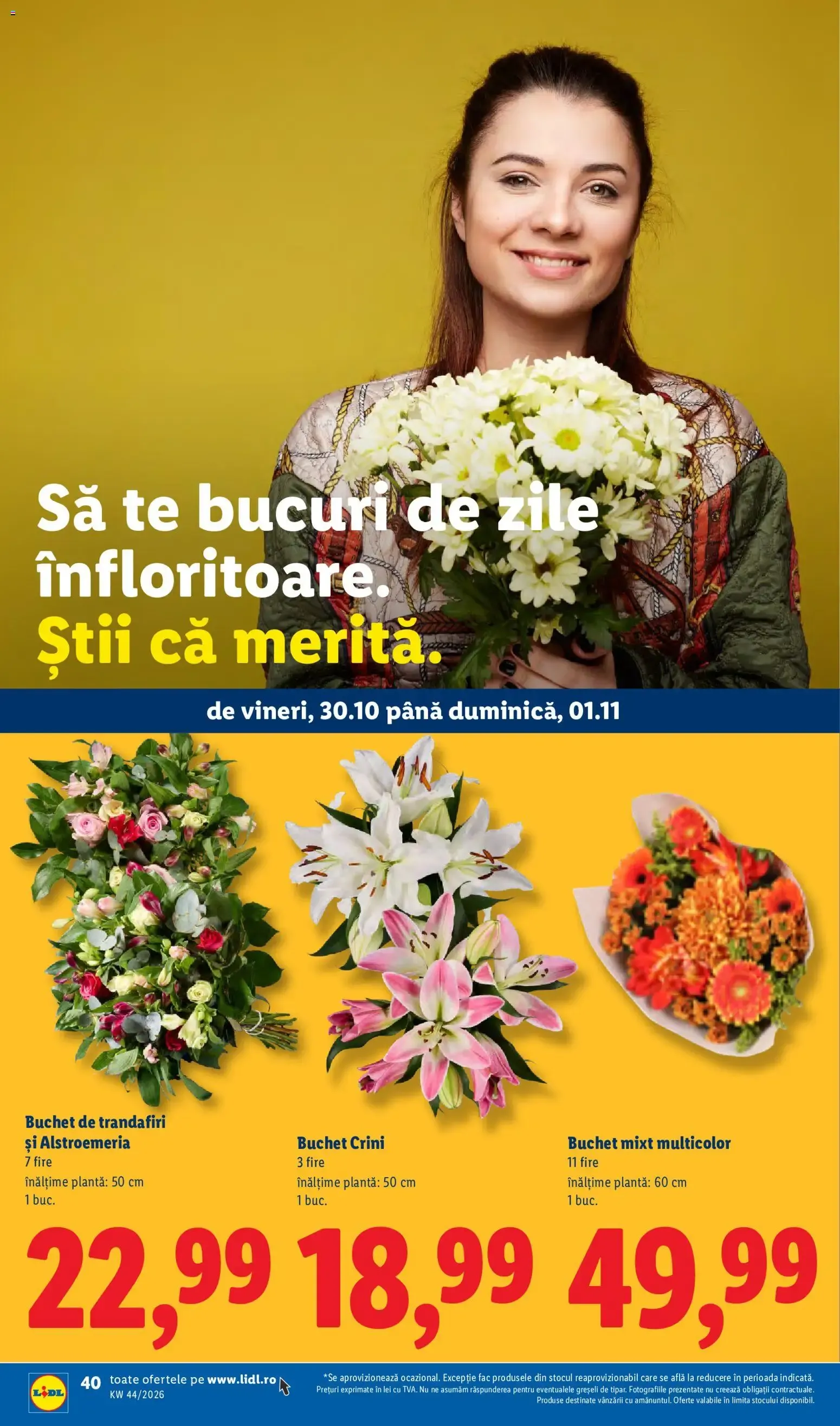 Catalog Catalog LIDL 26.10.2026 - Oferta și Revista online de la 26 octombrie până la 1 noiembrie 2026 - Revista Pagina 40