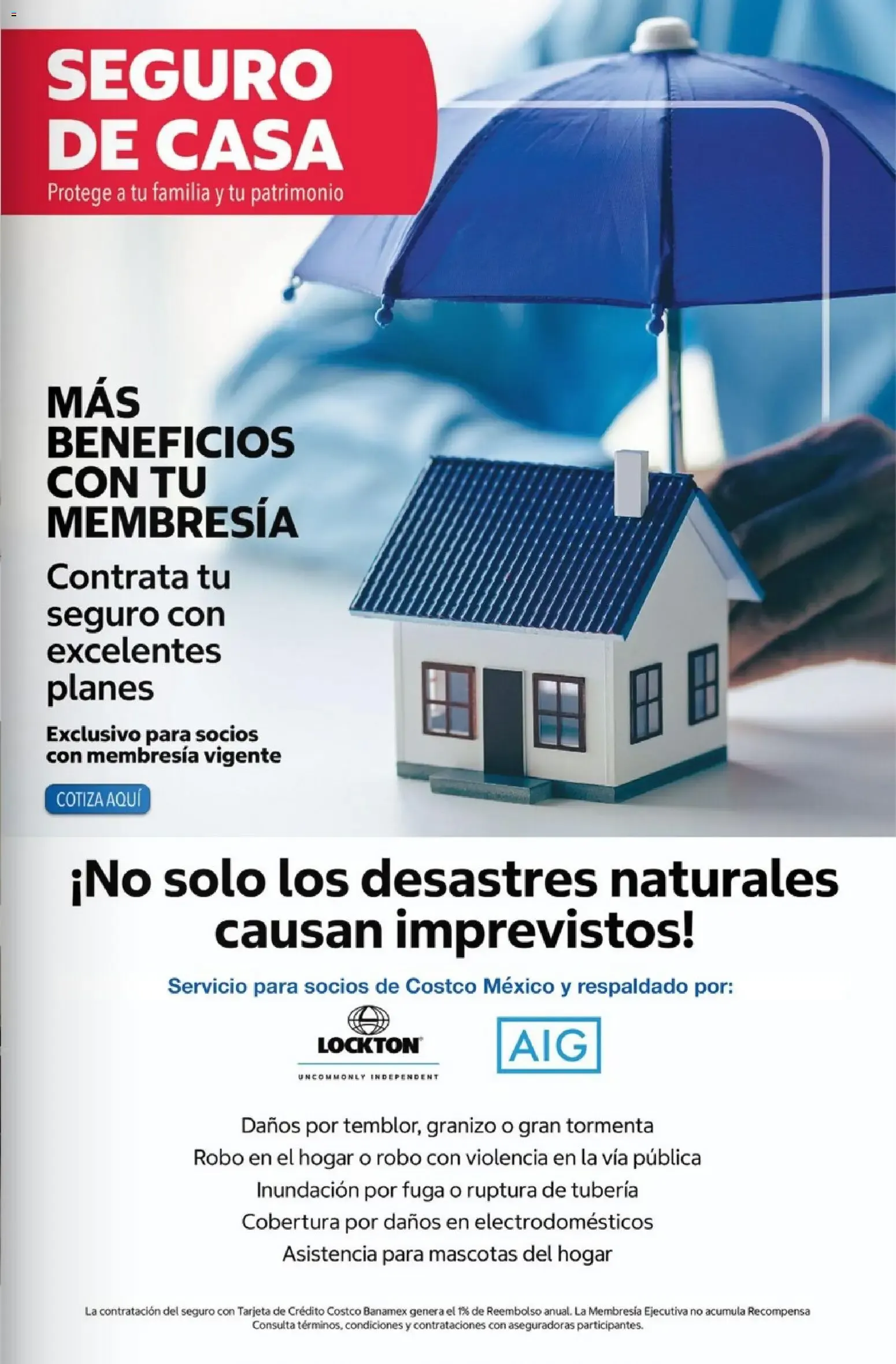 Catálogo de Revista digital Contacto Costco: 50 años 1 de julio al 31 de julio 2026 - Pagina 47