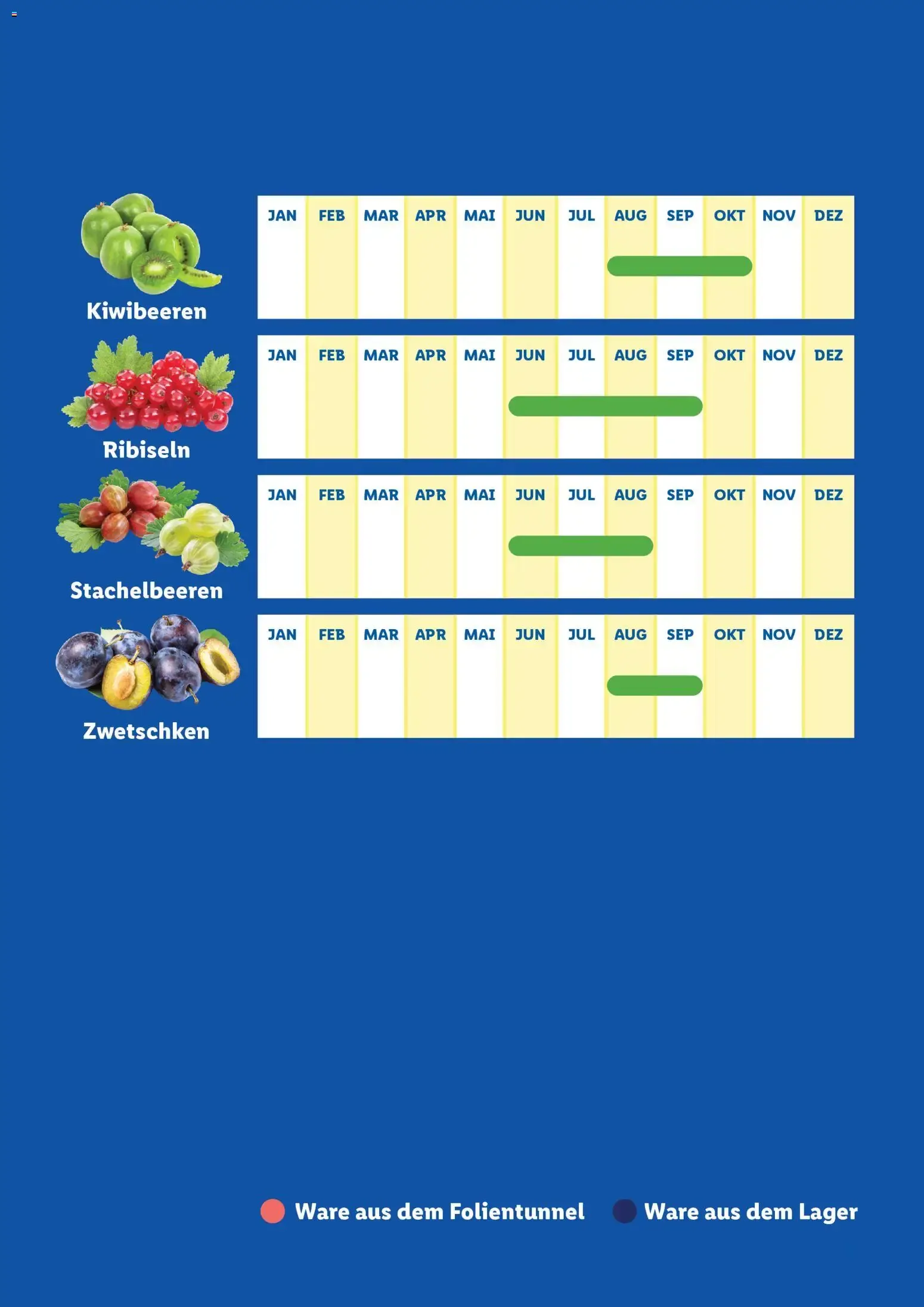 Lidl Saisonkalender - Obst und Gemüse ab 01.01.2026 - Angebote ab donnerstag von 1. Jänner bis 31. Dezember 2026 - Flugblätt seite  3