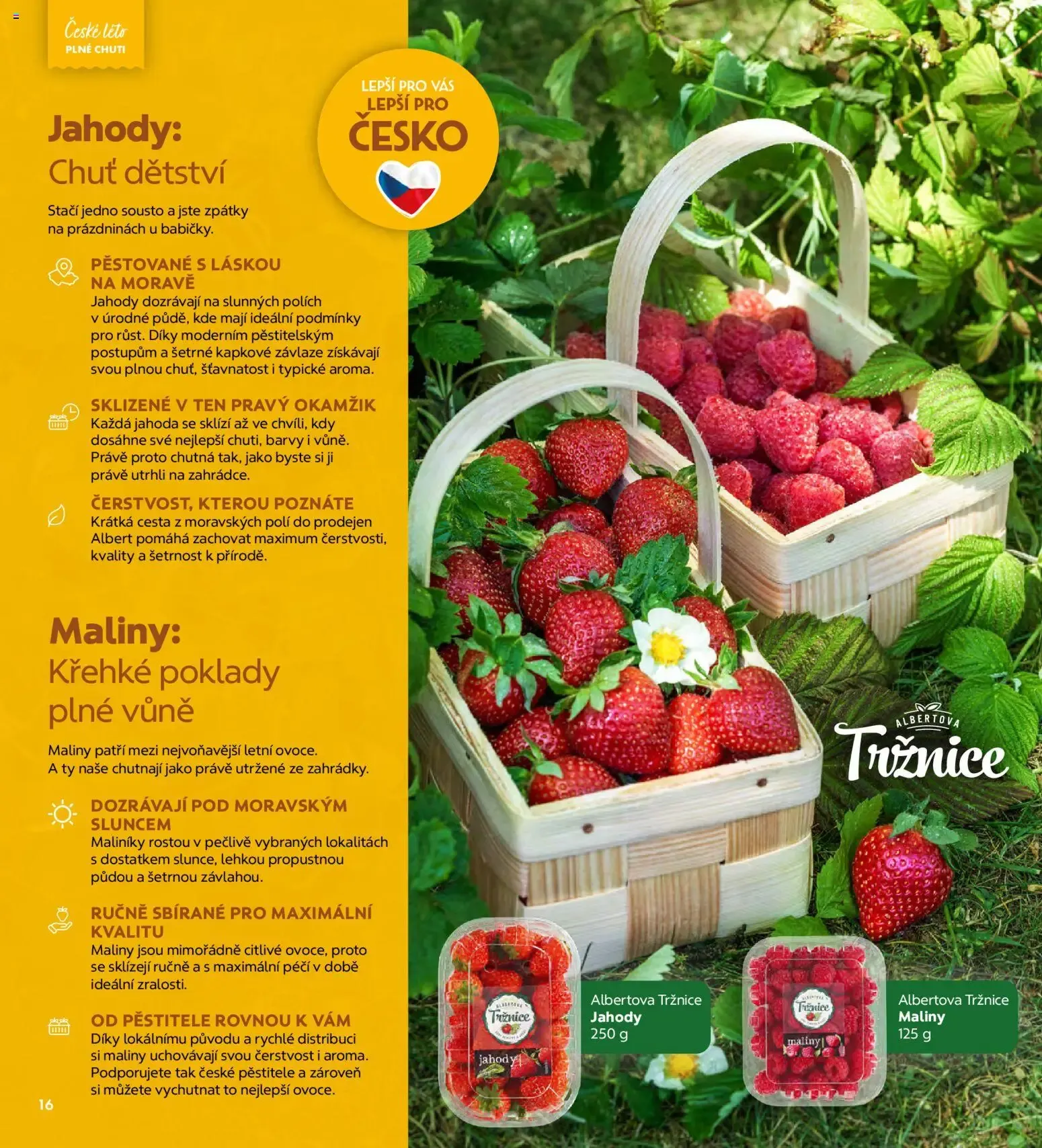Albert magazín od 01.07.2026 - Akční leták - 1. července 31. srpna 2026 - Page 16