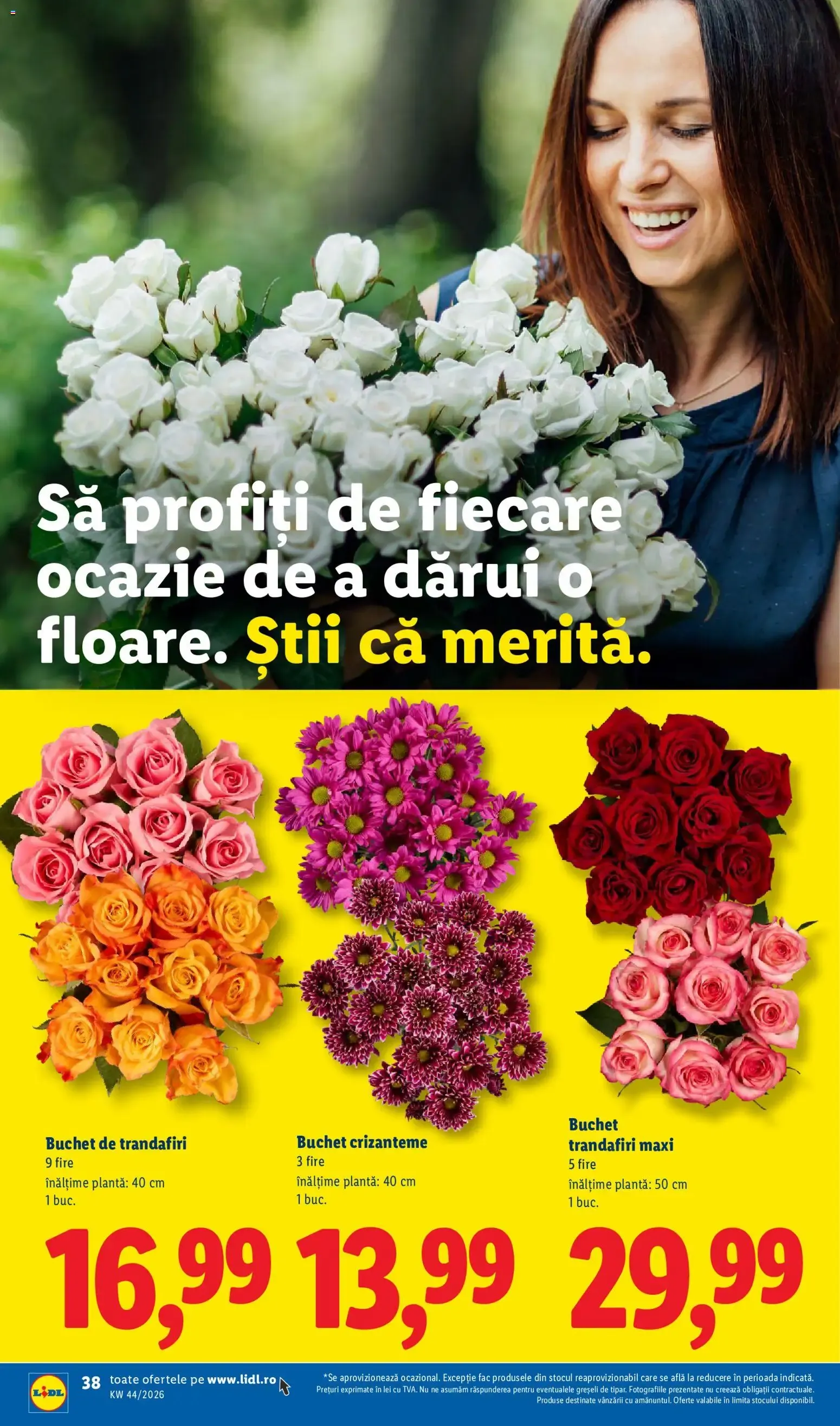 Catalog Catalog LIDL 26.10.2026 - Oferta și Revista online de la 26 octombrie până la 1 noiembrie 2026 - Revista Pagina 38