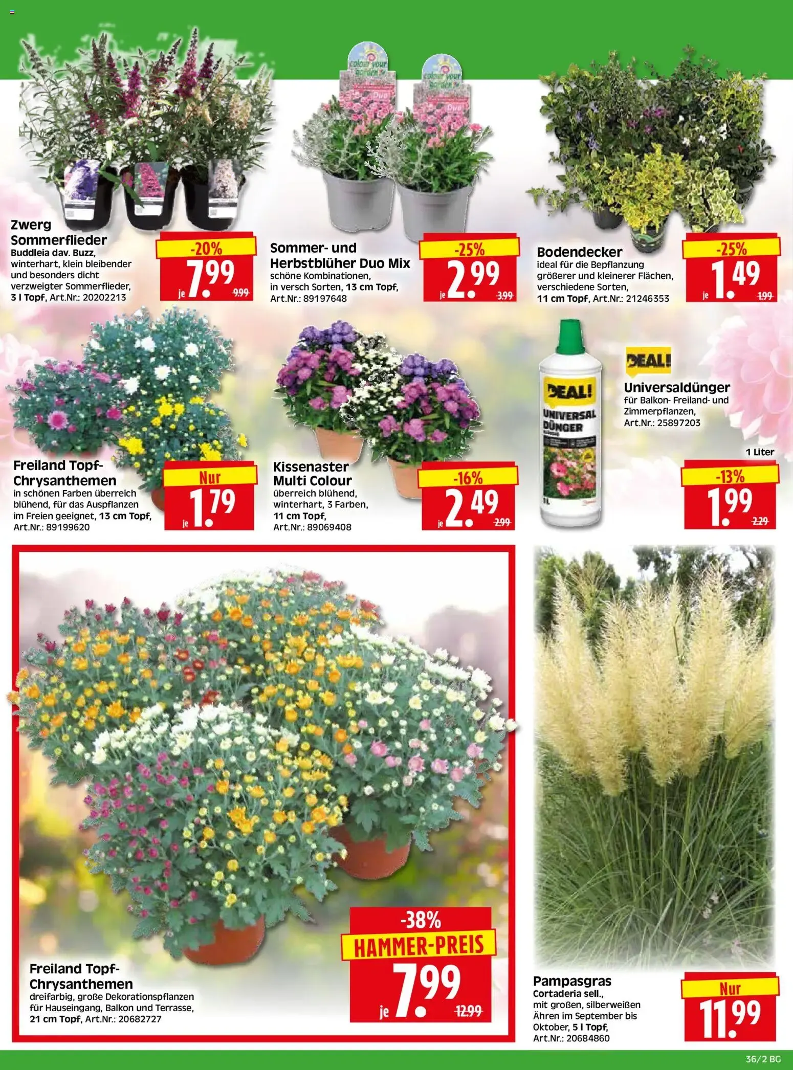 HERKULES Bau & Garten (ab 31.08.2026) zum Blättern von 31. August bis 5. September 2026 - Prospekt seite 2