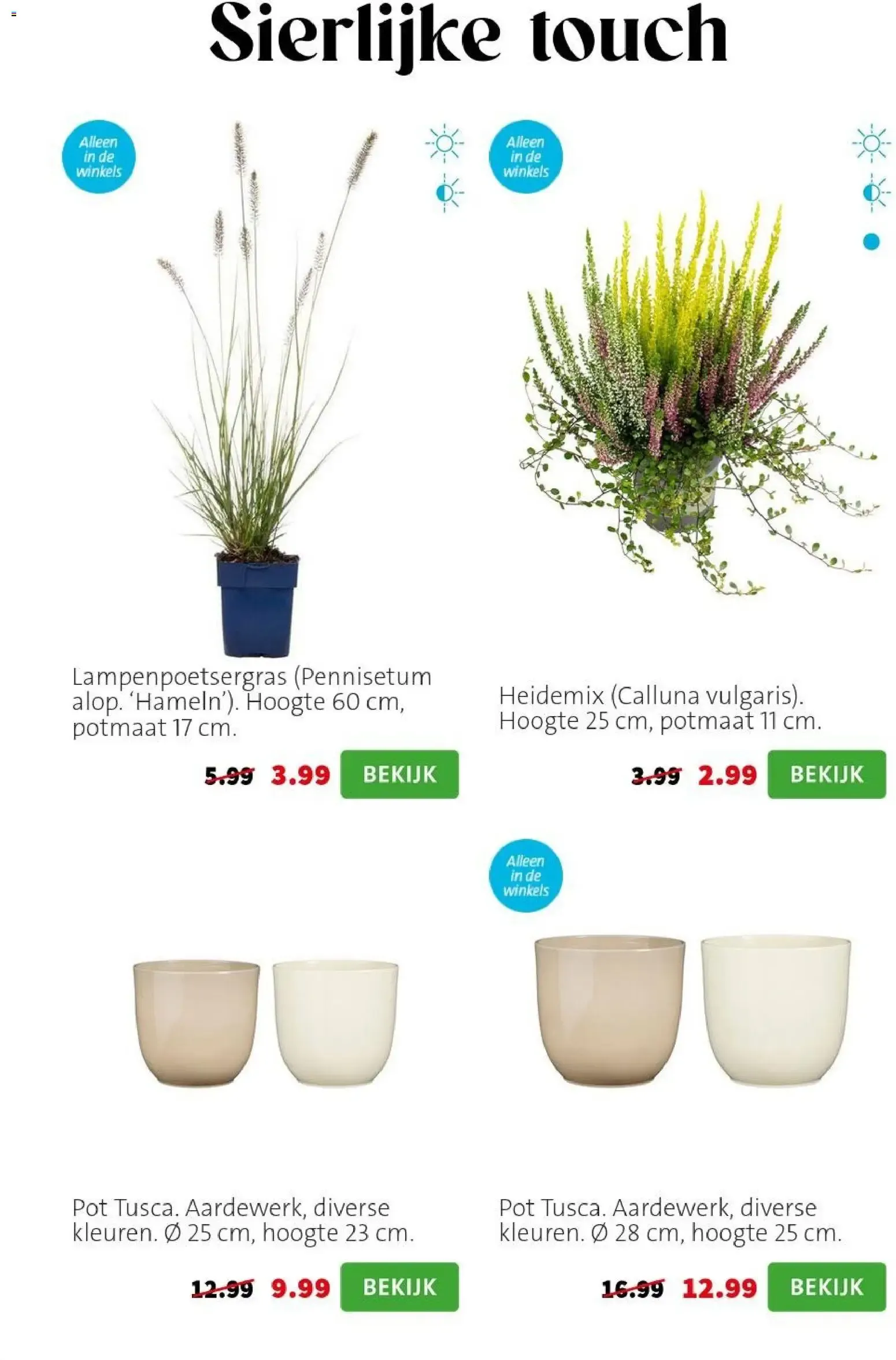 Bloemen met flair van 7 september tot 13 september 2026 - Folder pagina 4