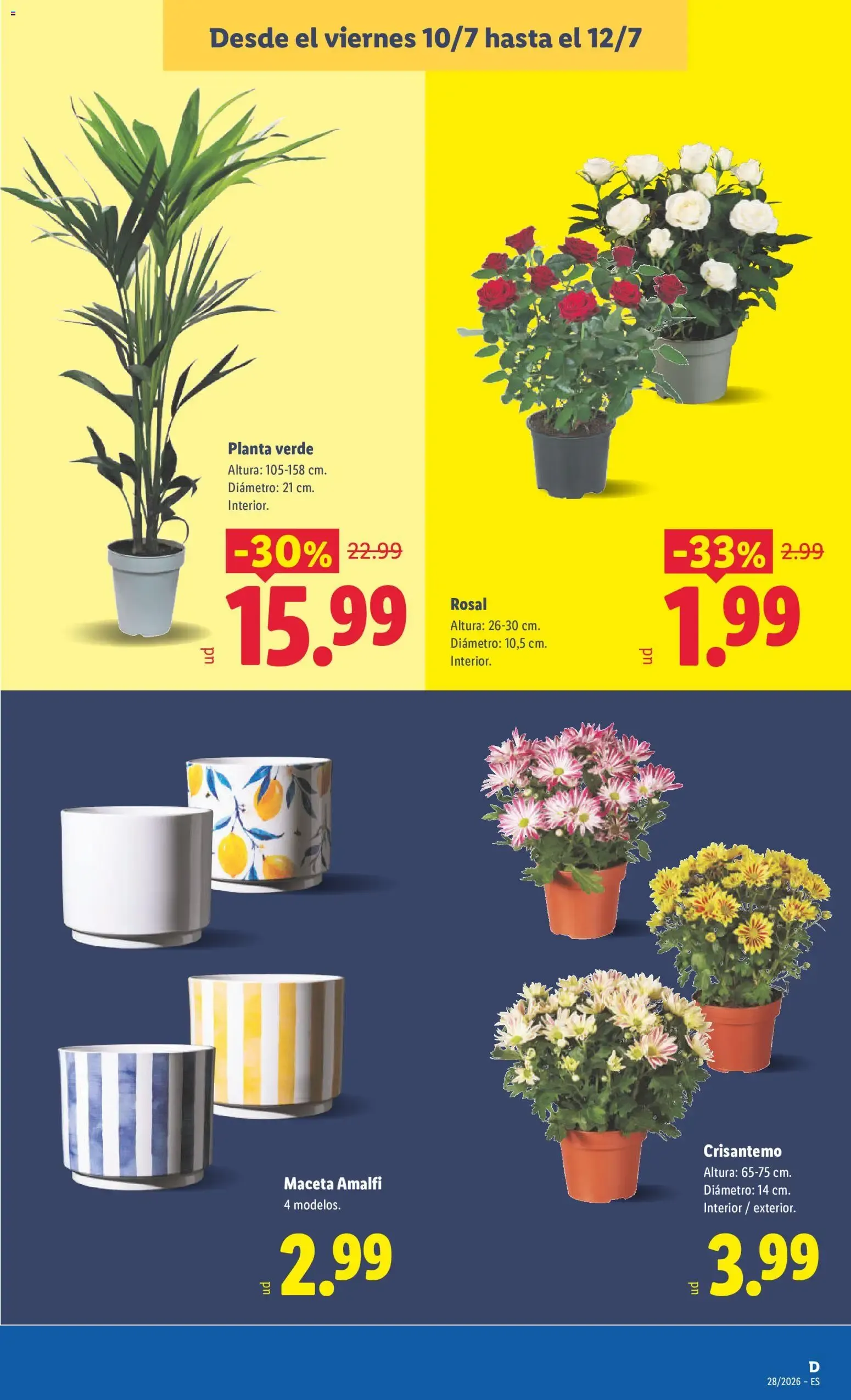 Catálogo de Lidl Plus: acumula puntos y llévate premios extra 6 de julio al 12 de julio 2026 - Página 59